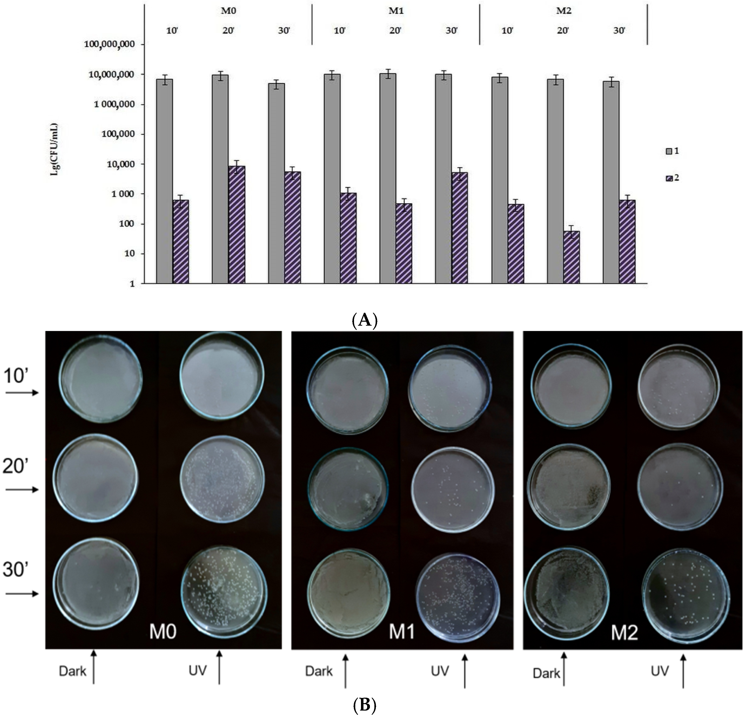 Crystals 14 01081 g019