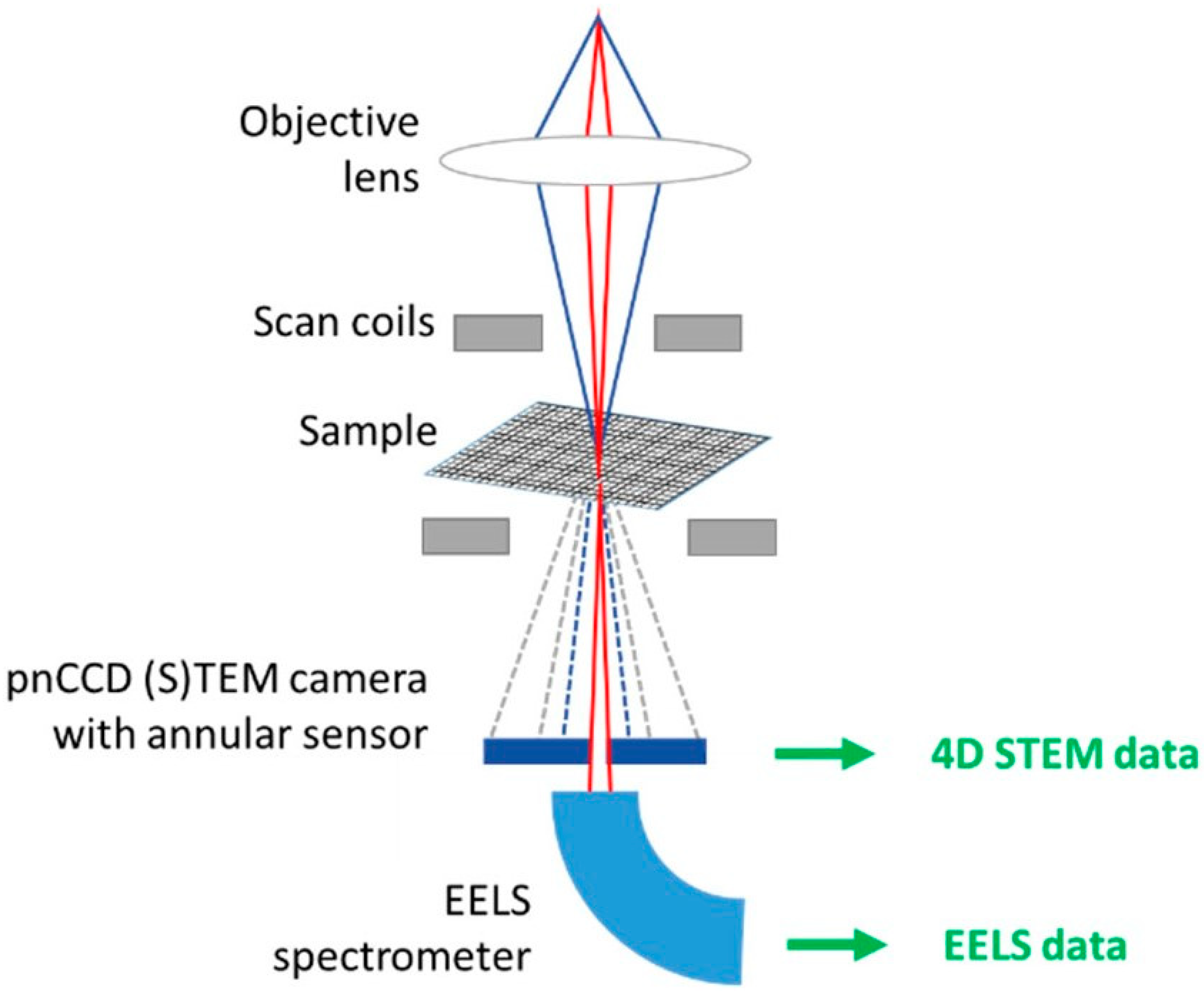 Crystals 15 00192 g011 Crystals 15 00192 g011