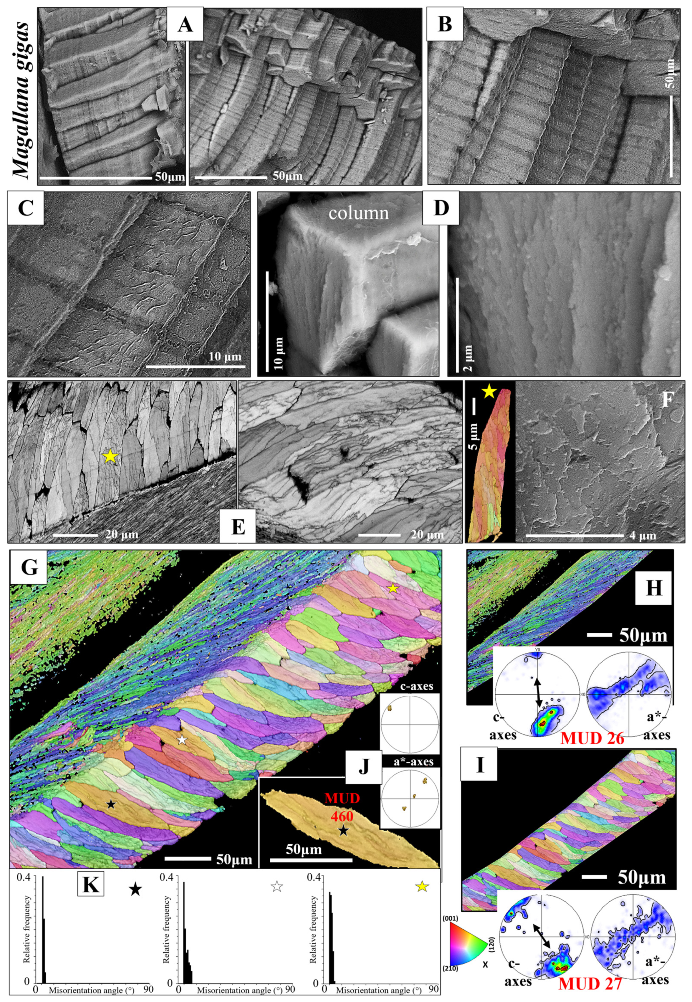 Crystals 15 00286 g003