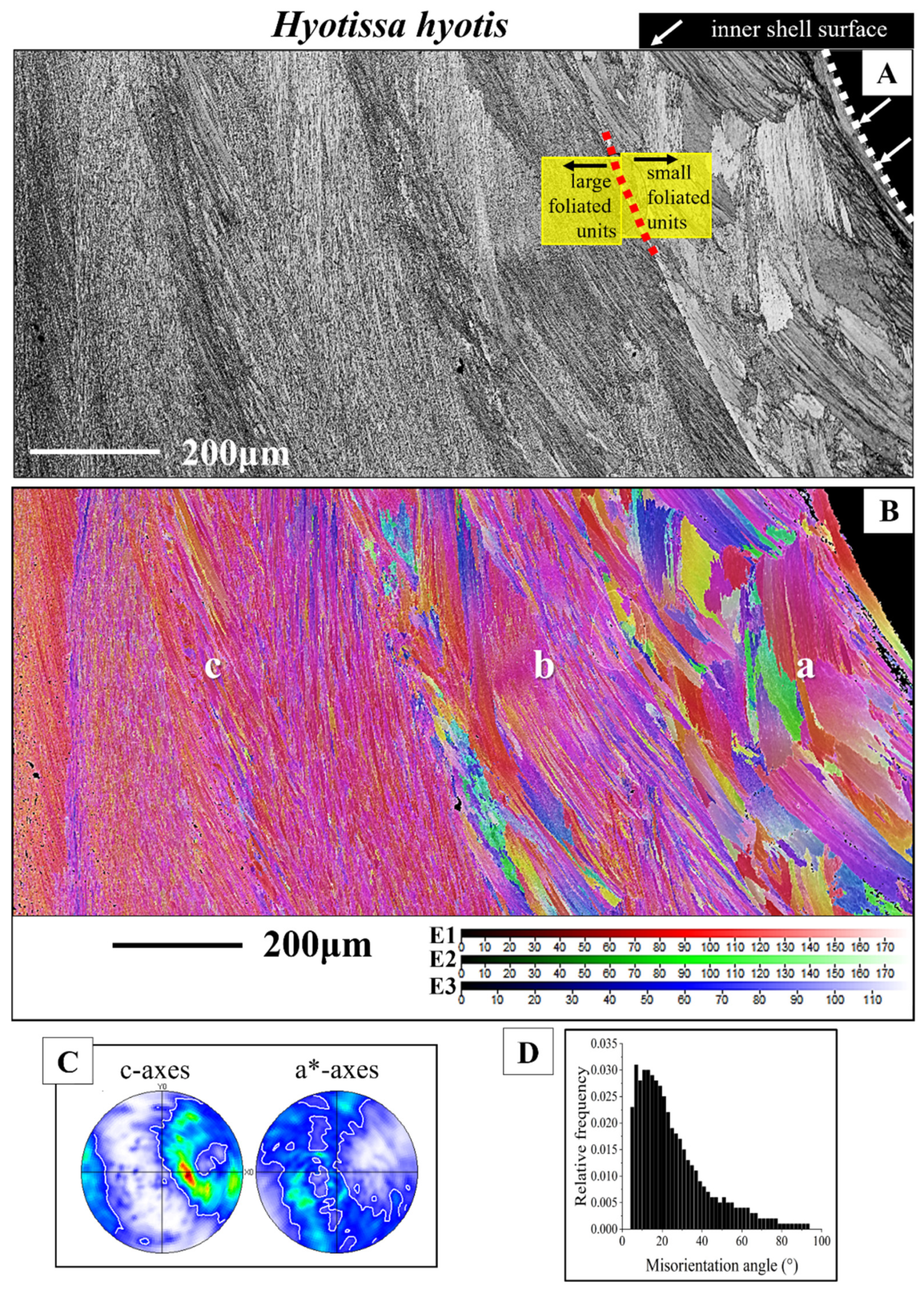 Crystals 15 00286 g005