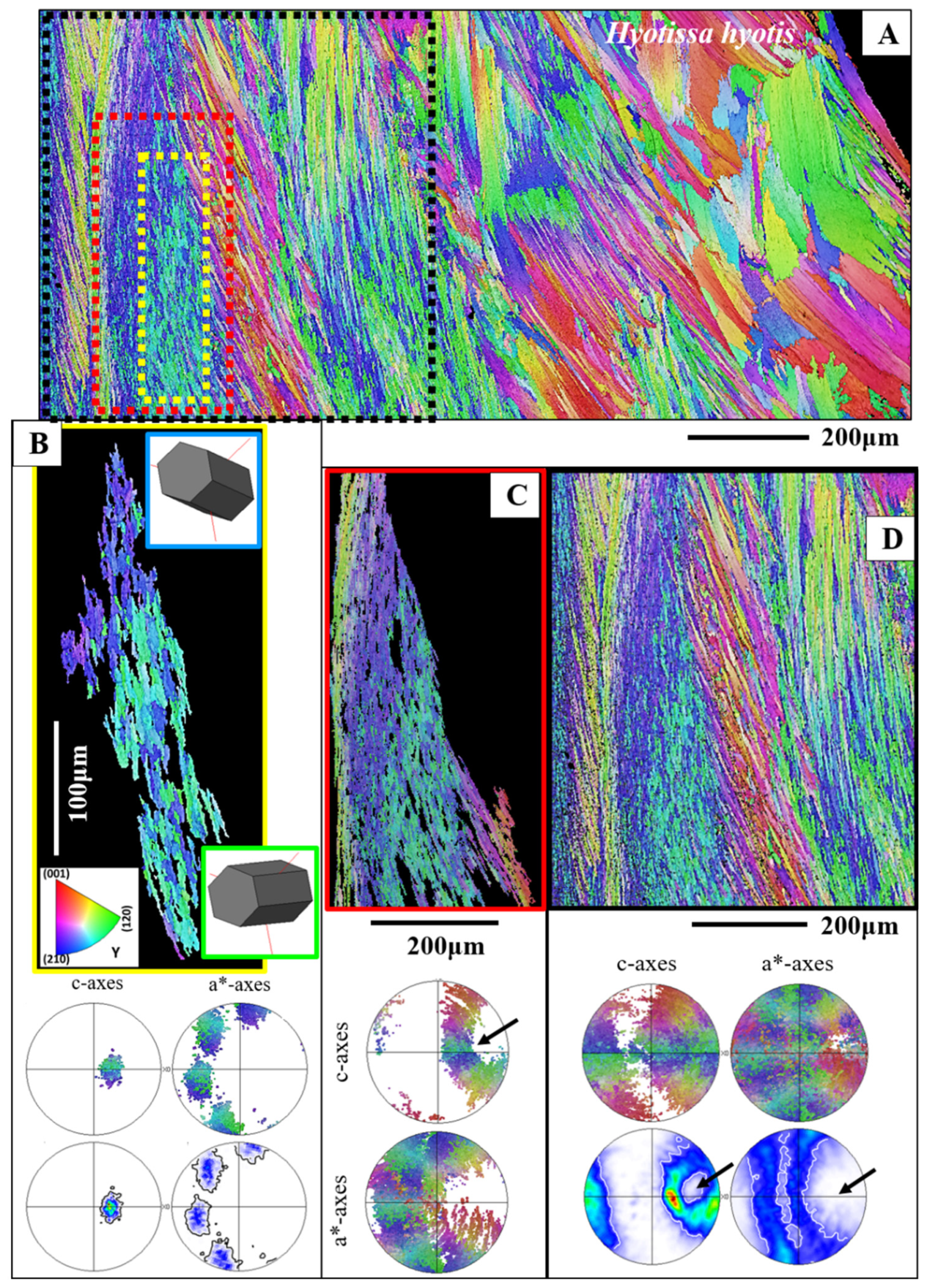 Crystals 15 00286 g006