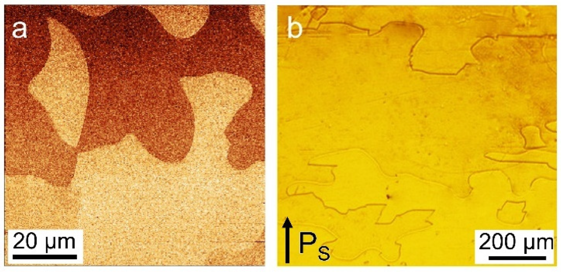 Crystals 15 00315 g001