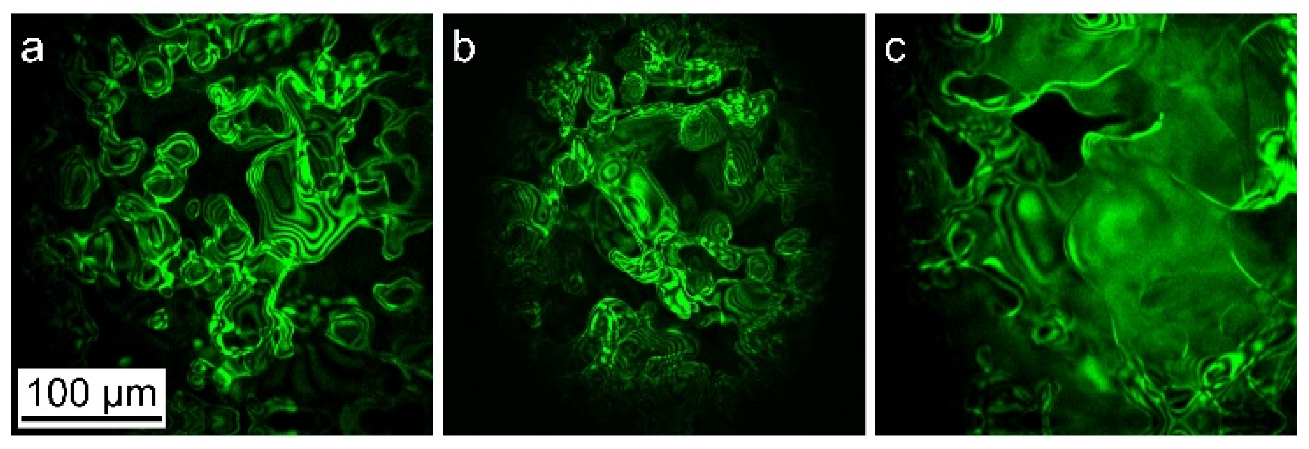 Crystals 15 00315 g002