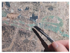 Crystals 15 00339 i005