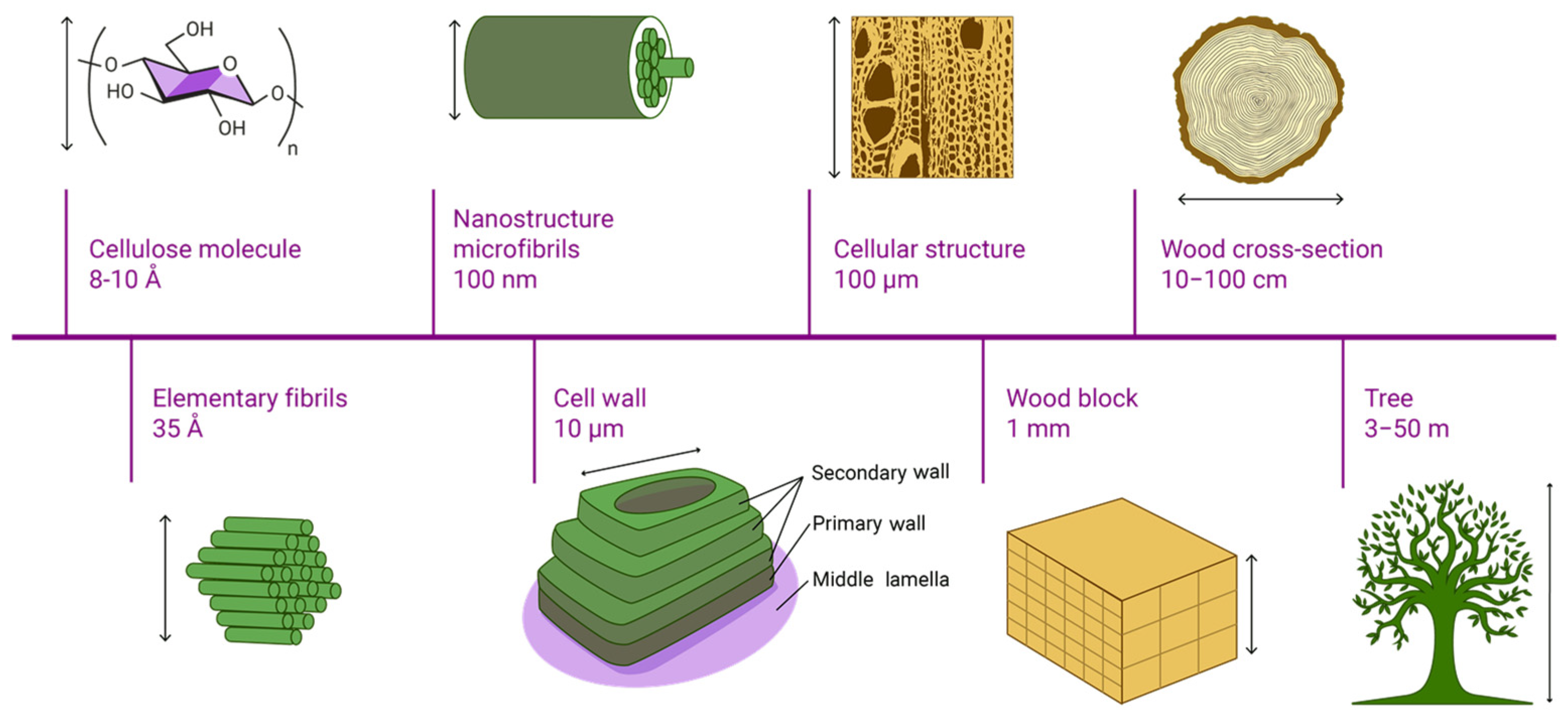 Crystals 15 00352 g001