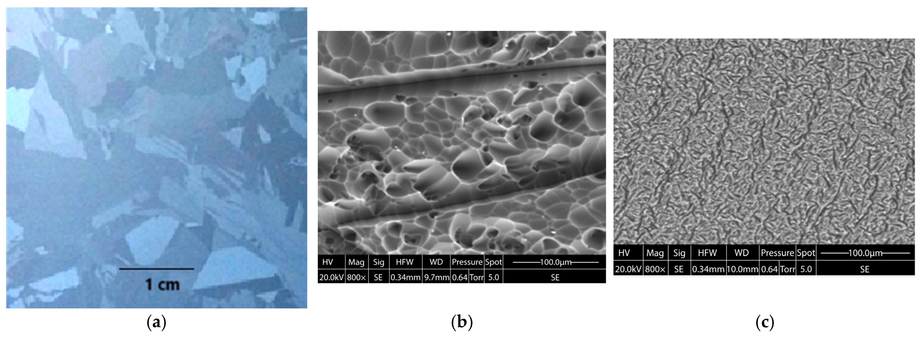 Crystals 15 00381 g003