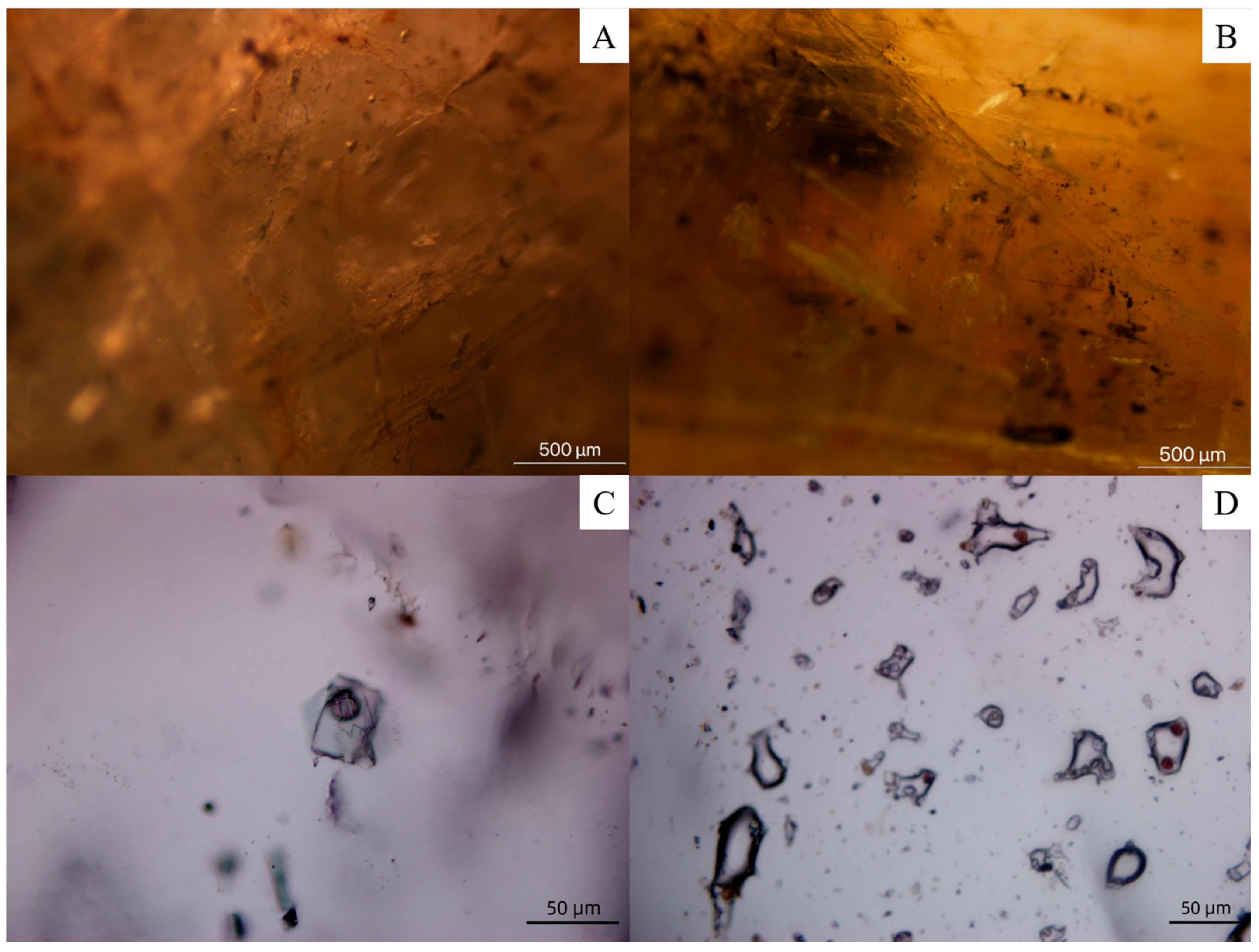 Crystals 15 00385 g003