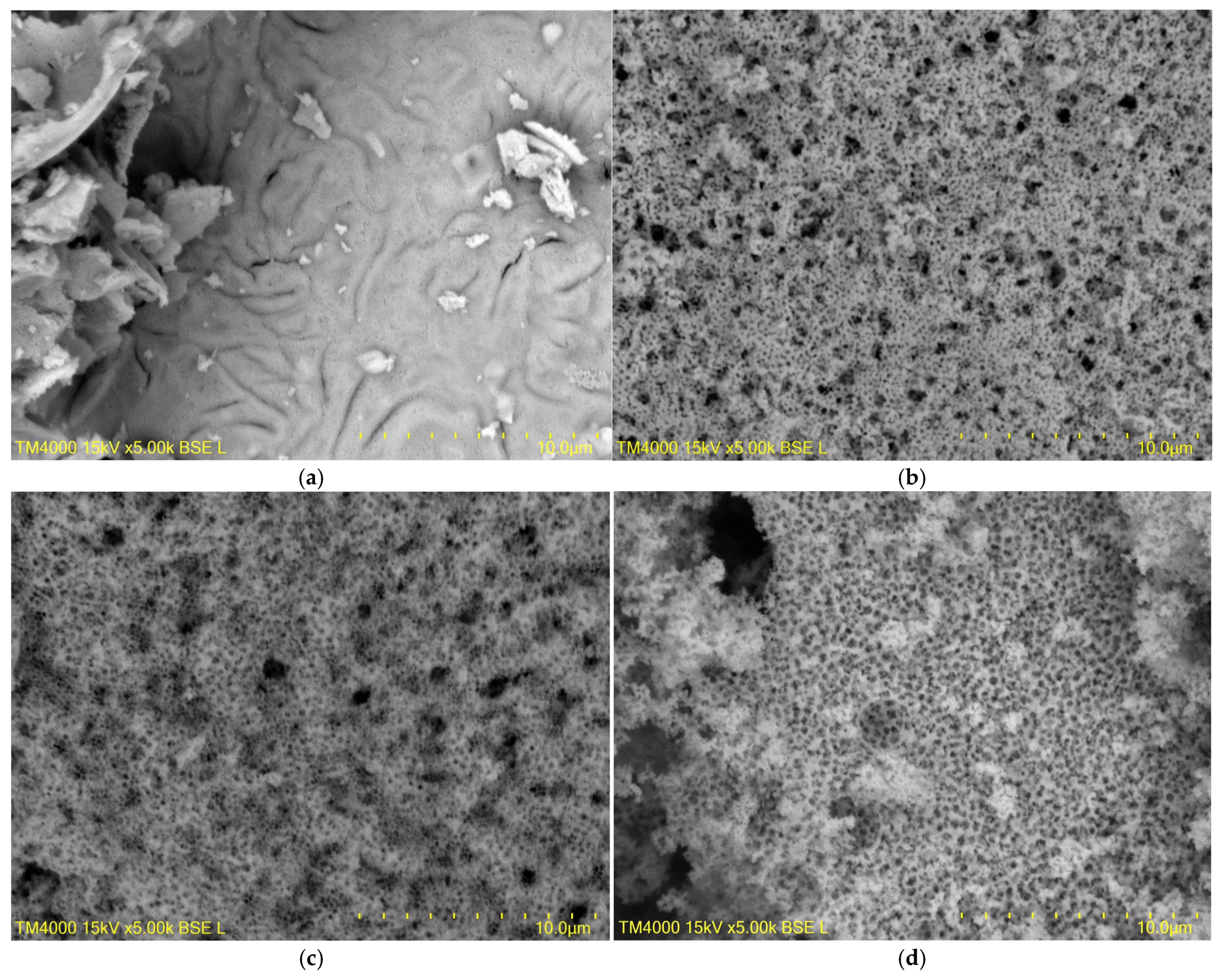 Crystals 15 00394 g004