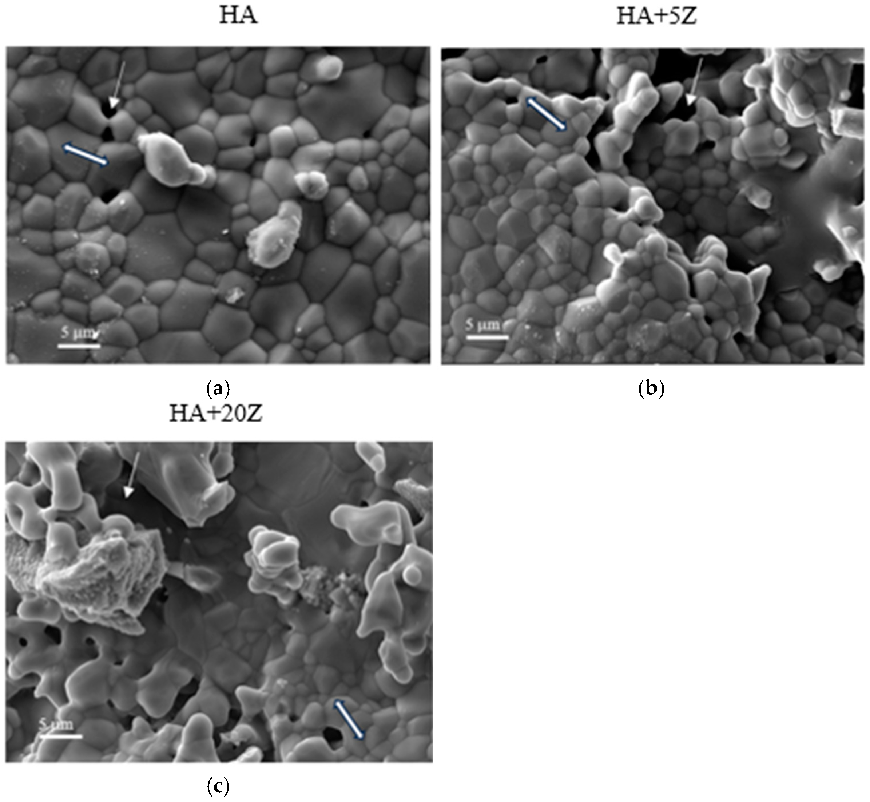 Crystals 15 00396 g004