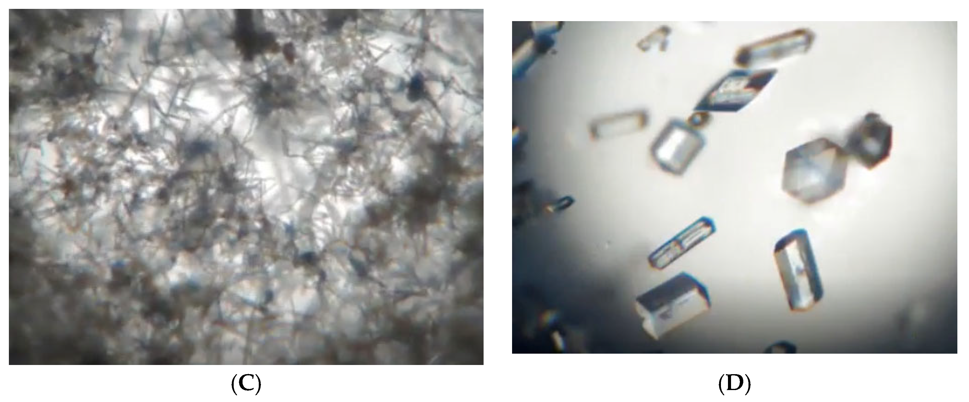 Crystals 15 00527 g004b