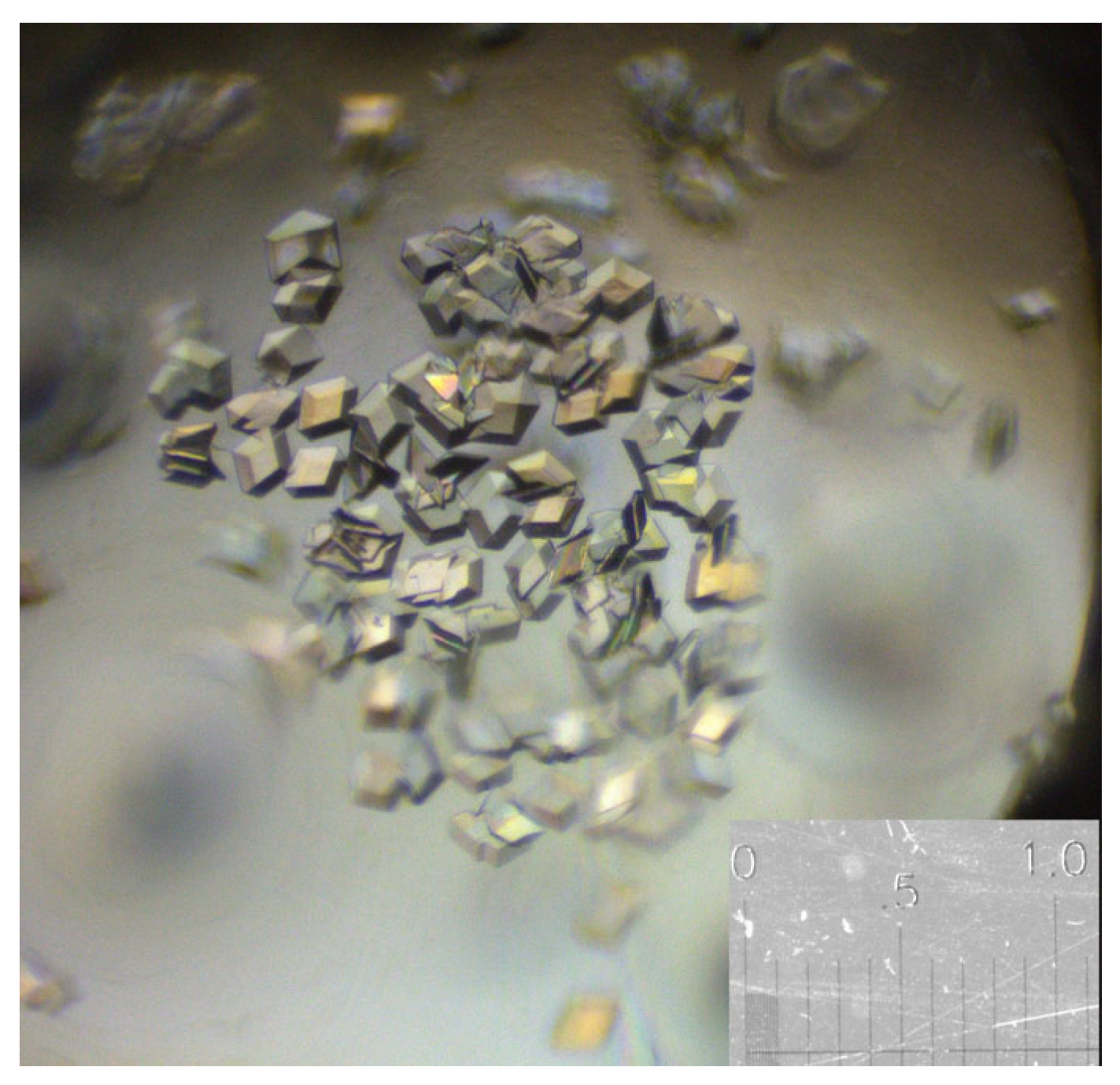 Crystals 15 00527 g005