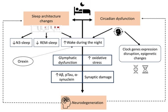 Artificial intelligence-enabled detection and assessment of Parkinson's  disease using nocturnal breathing signals