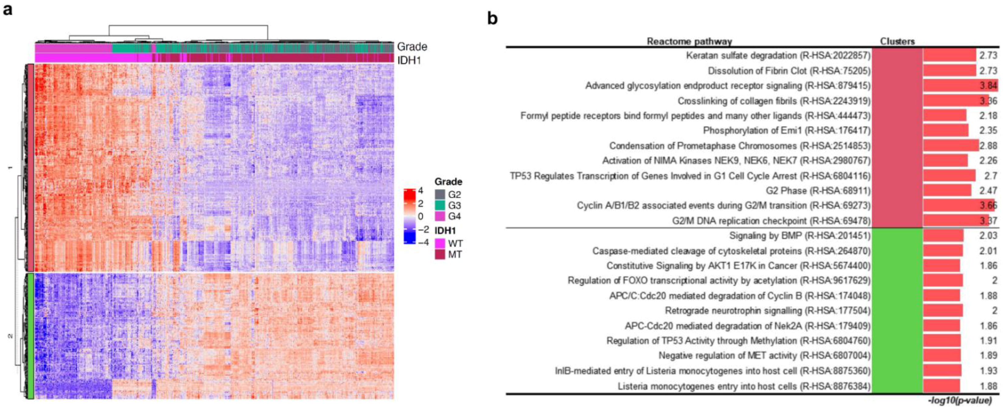 Curroncol 28 00210 g003 Curroncol 28 00210 g003