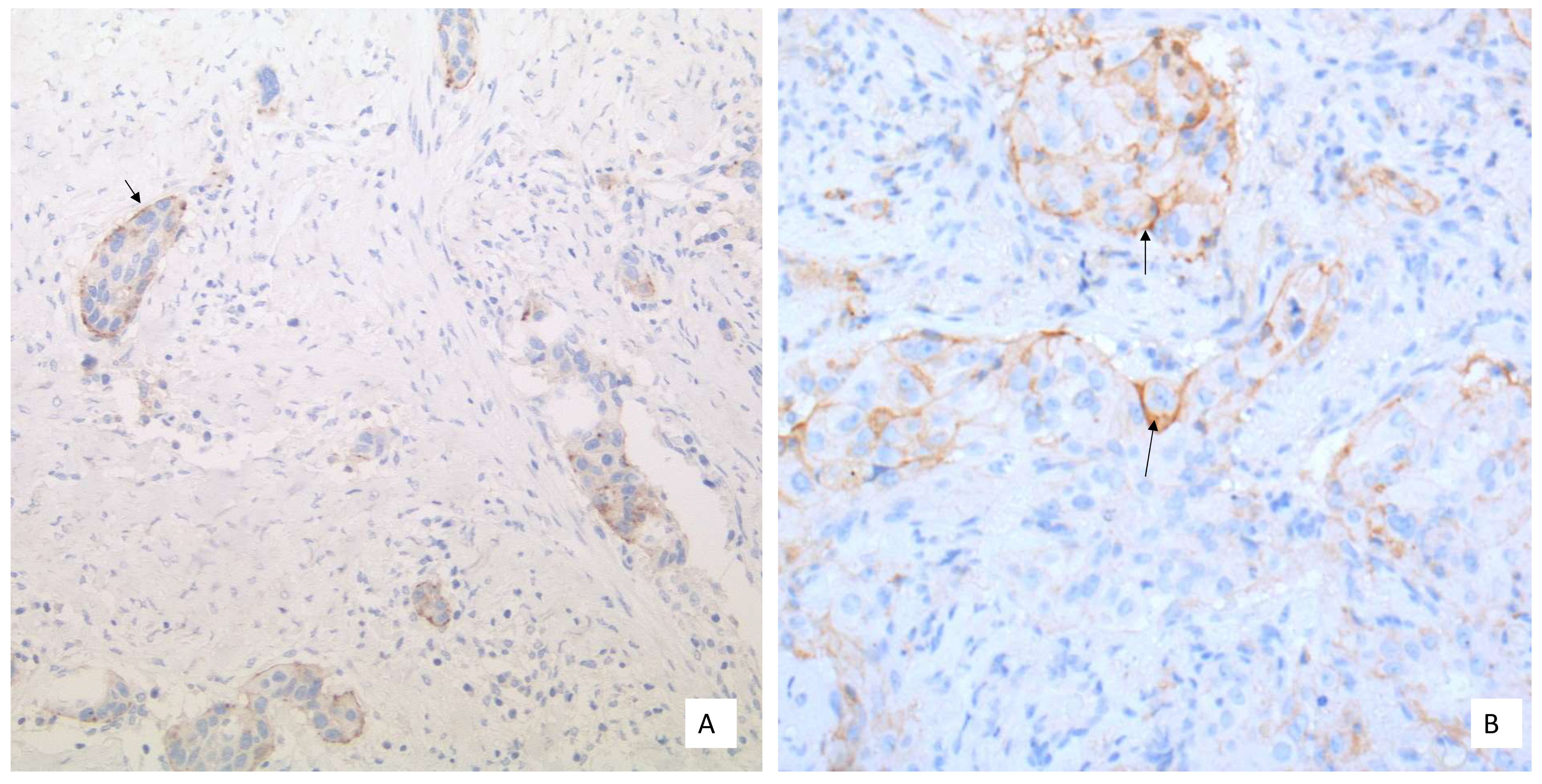 Curroncol 28 00437 g001a