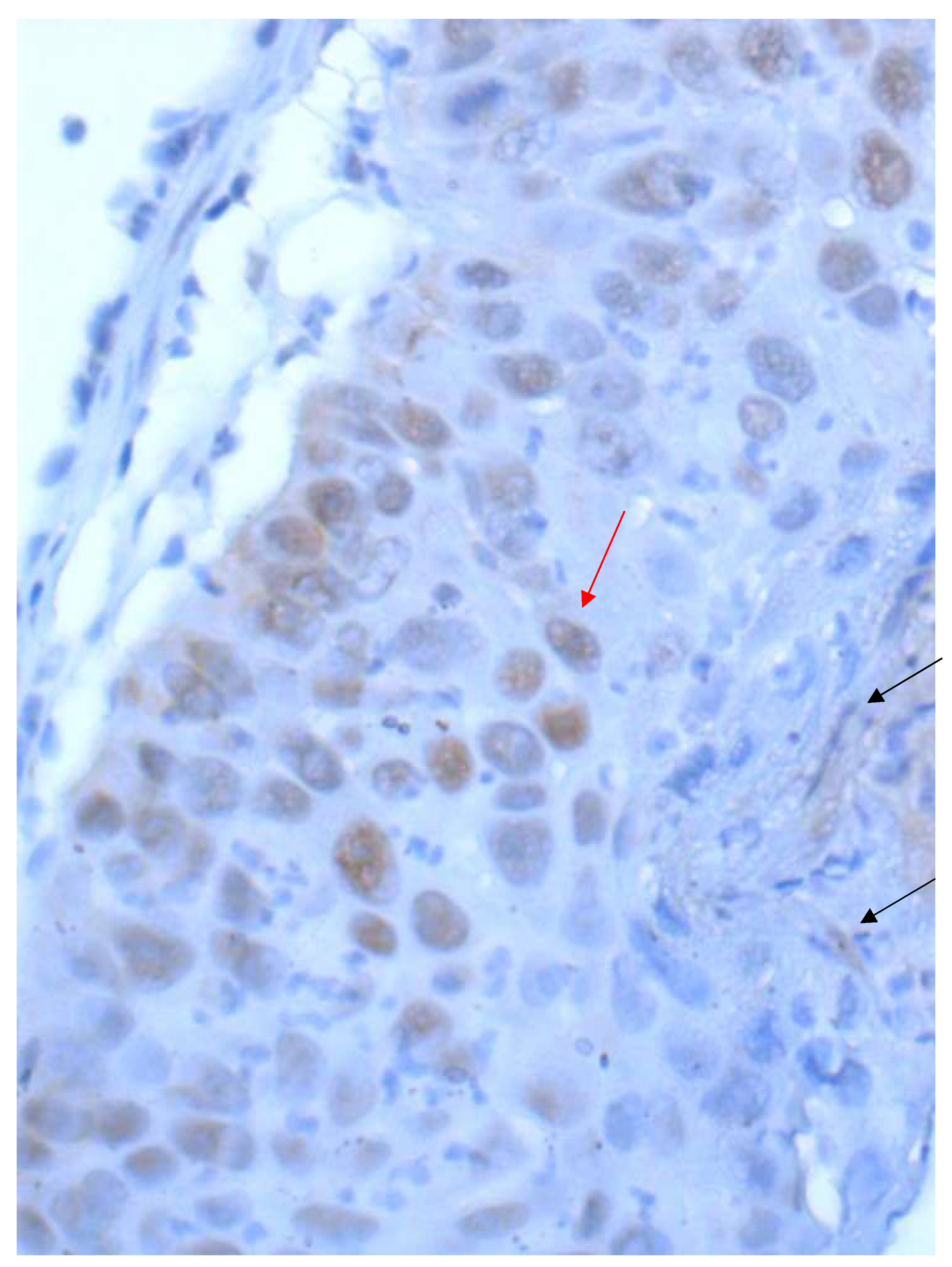 Curroncol 28 00437 g005