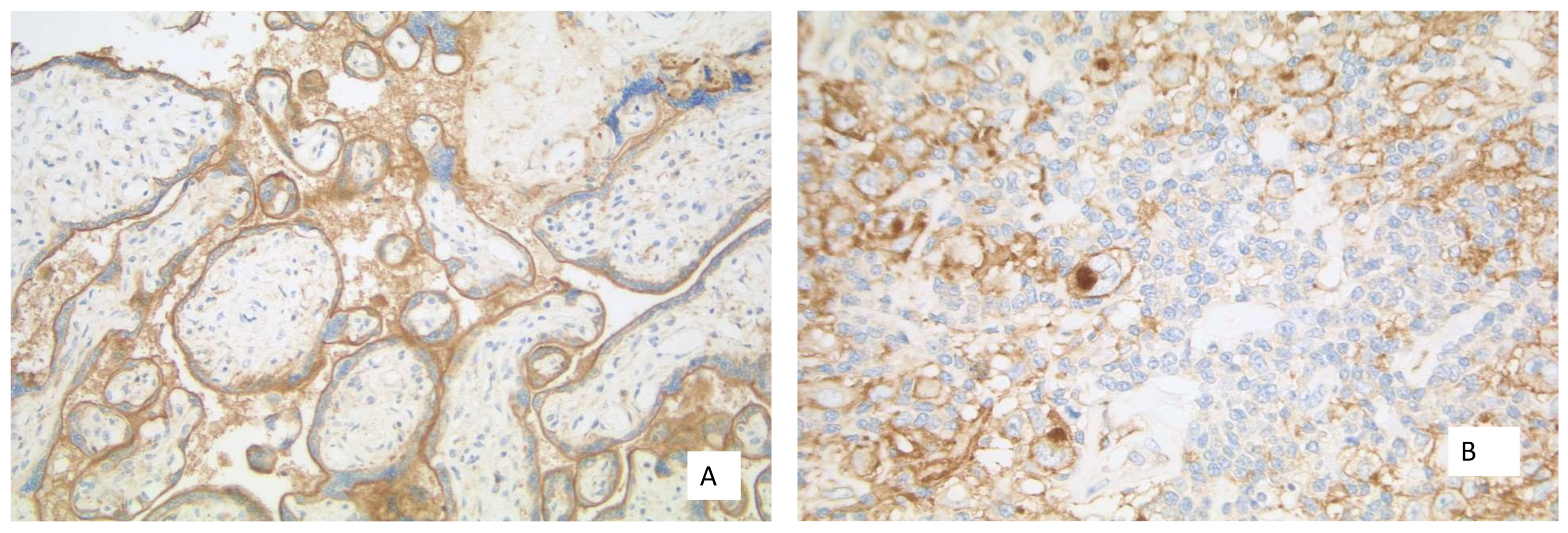 Curroncol 28 00437 g007