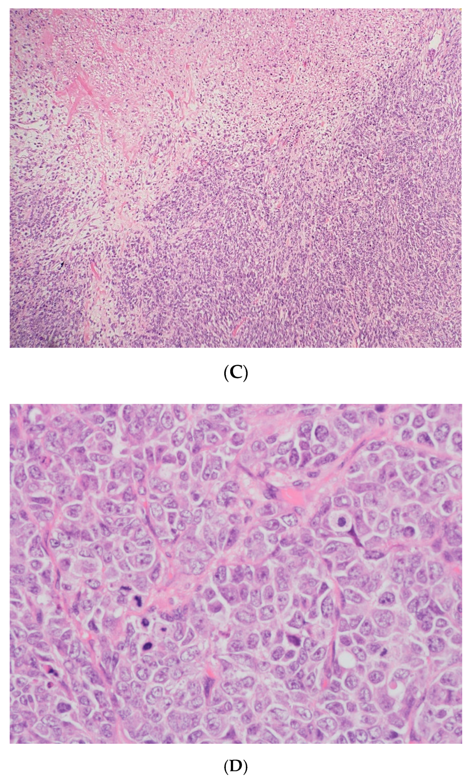 Curroncol 29 00037 g003b