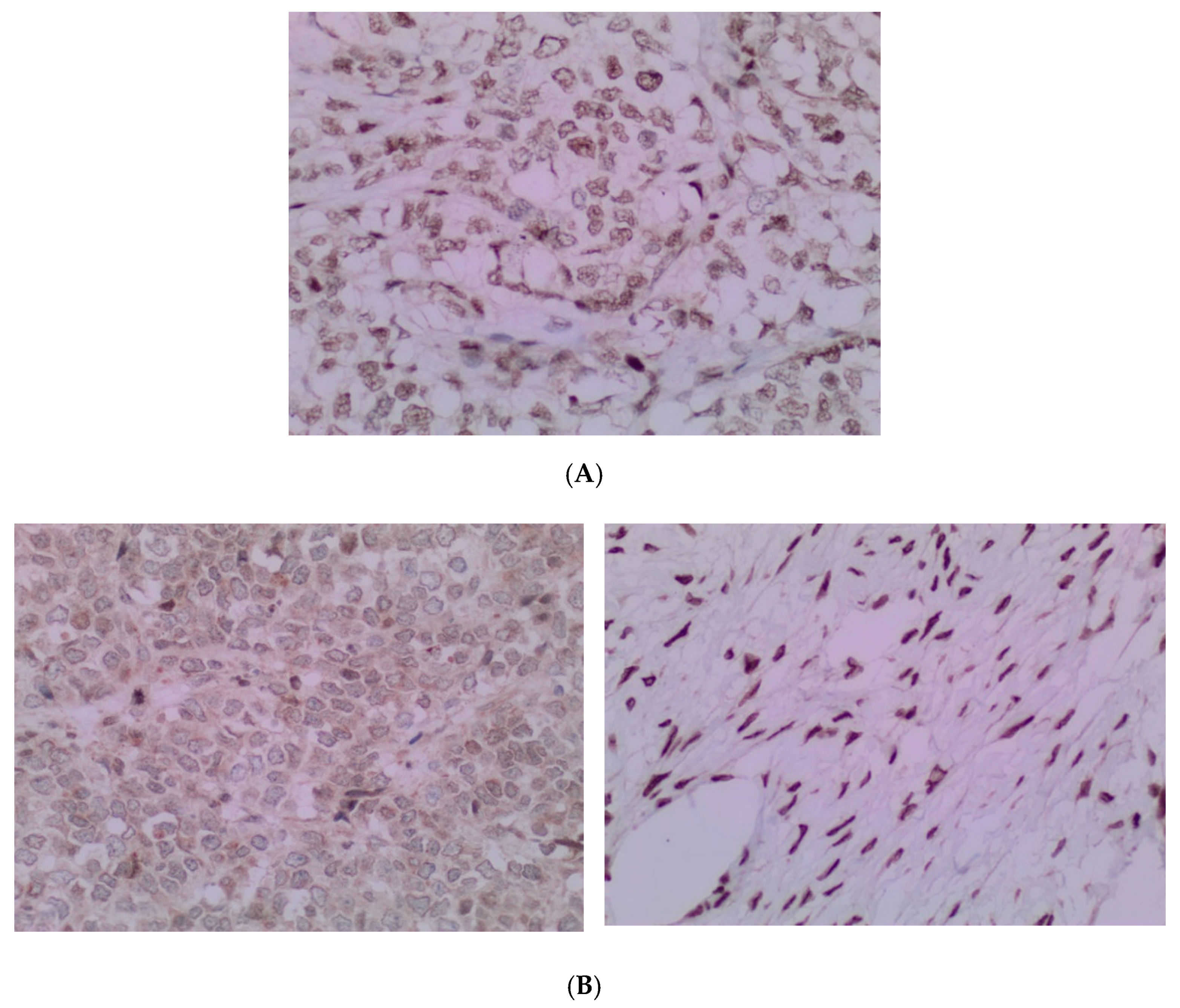Curroncol 29 00037 g006