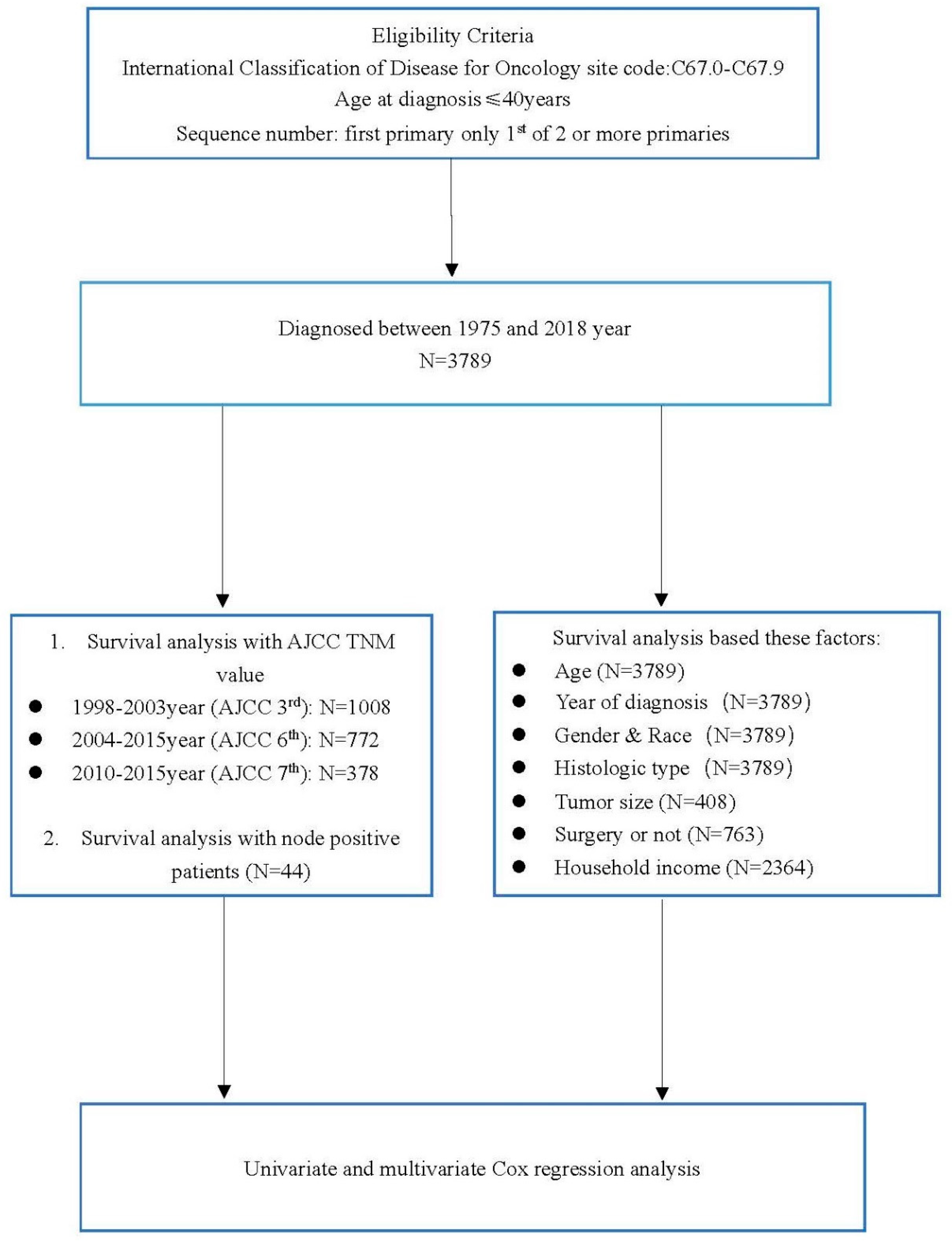 Curroncol 29 00052 g001