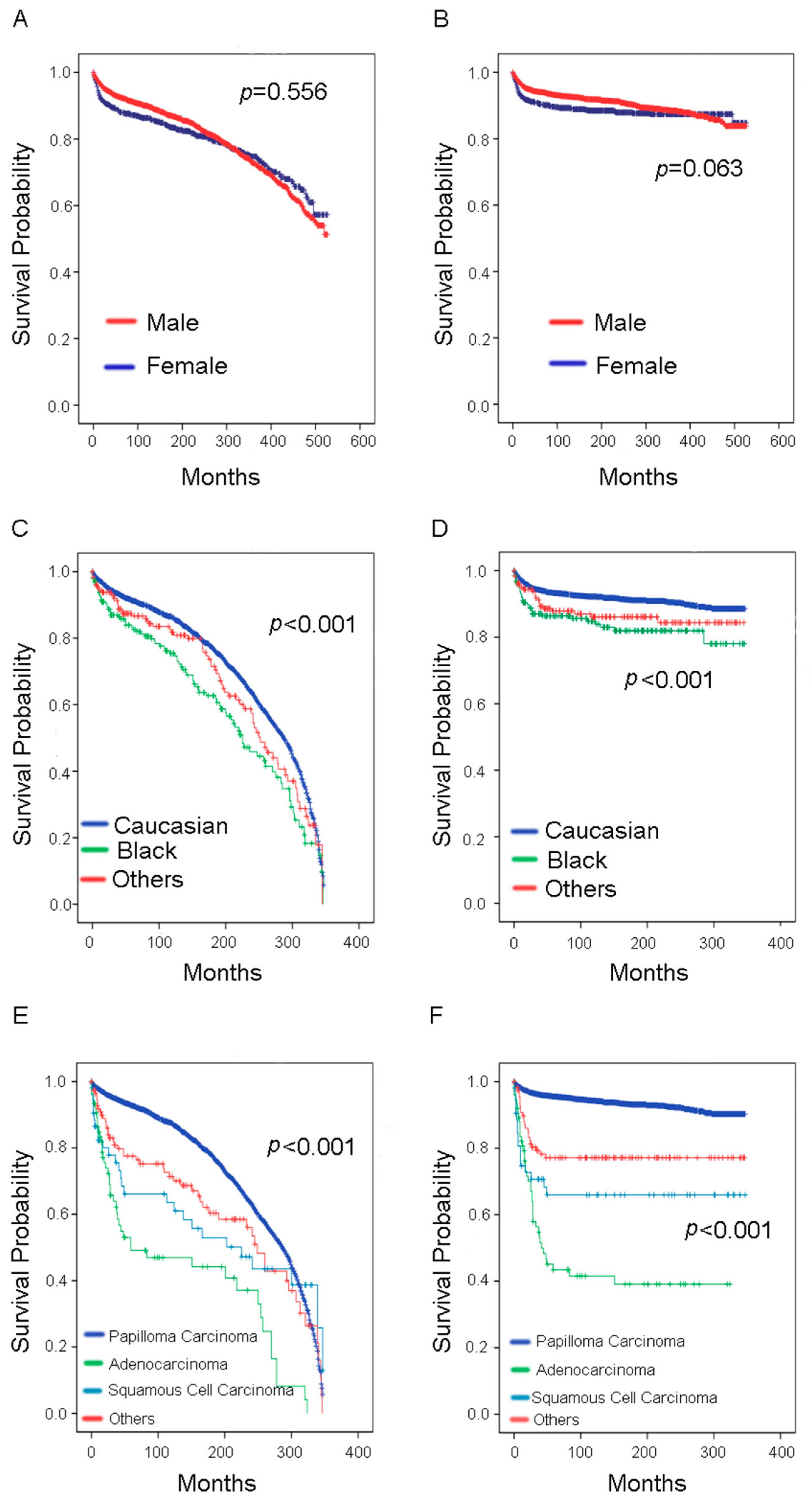 Curroncol 29 00052 g003