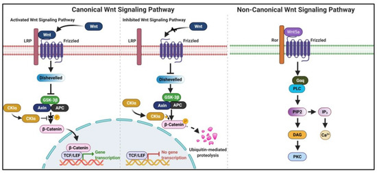 Long intergenic non‑coding RNA LINC01232 contributes to esophageal squamous  cell carcinoma progression by sequestering microRNA‑654‑3p and consequently  promoting hepatoma‑derived growth factor expression