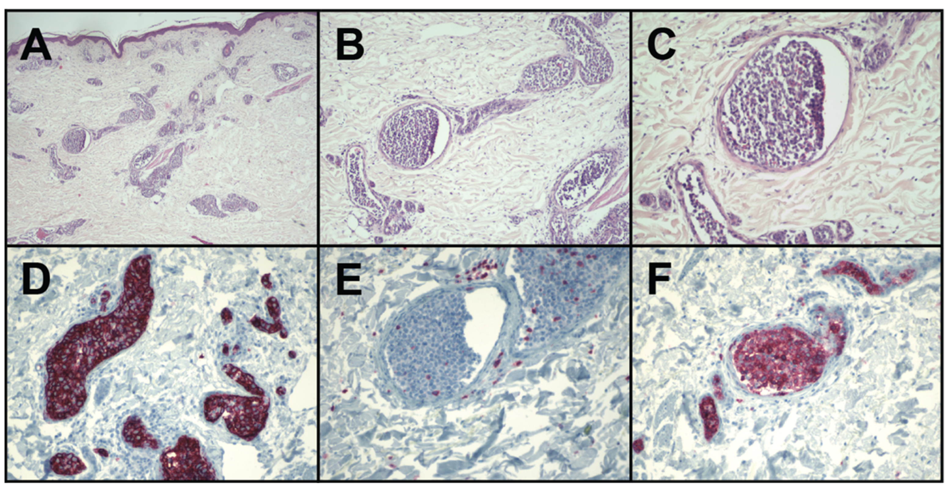 Curroncol 29 00237 g002