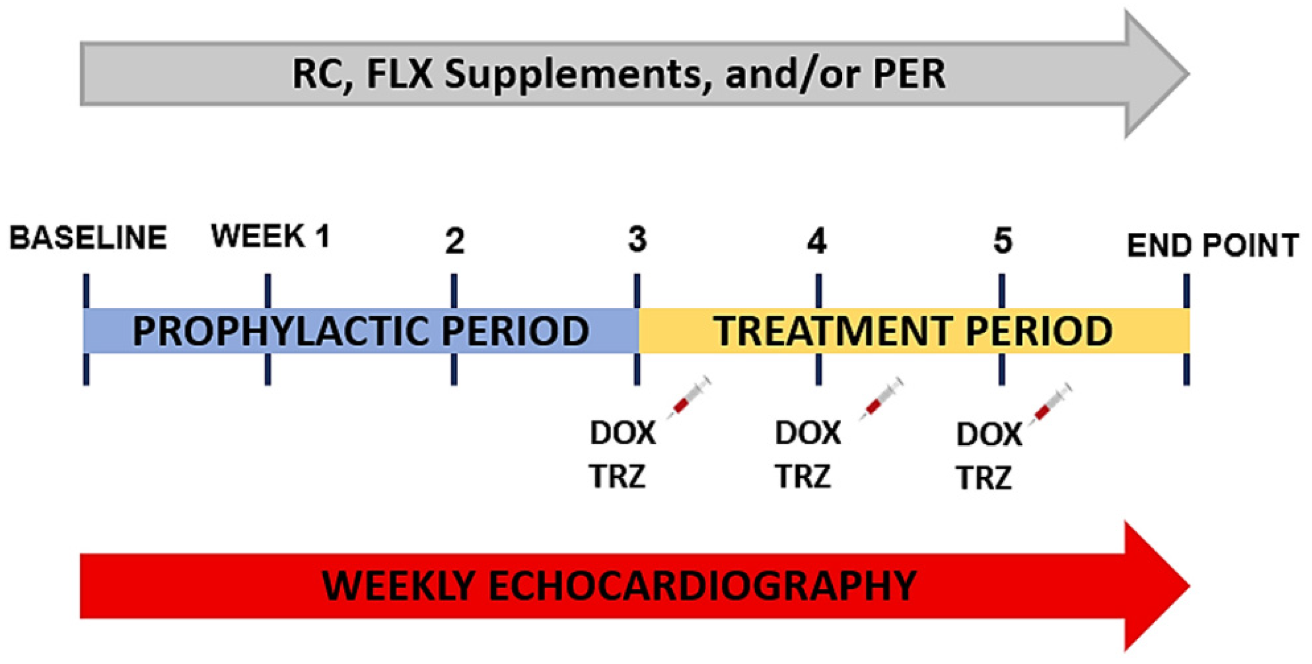 Curroncol 29 00241 g001