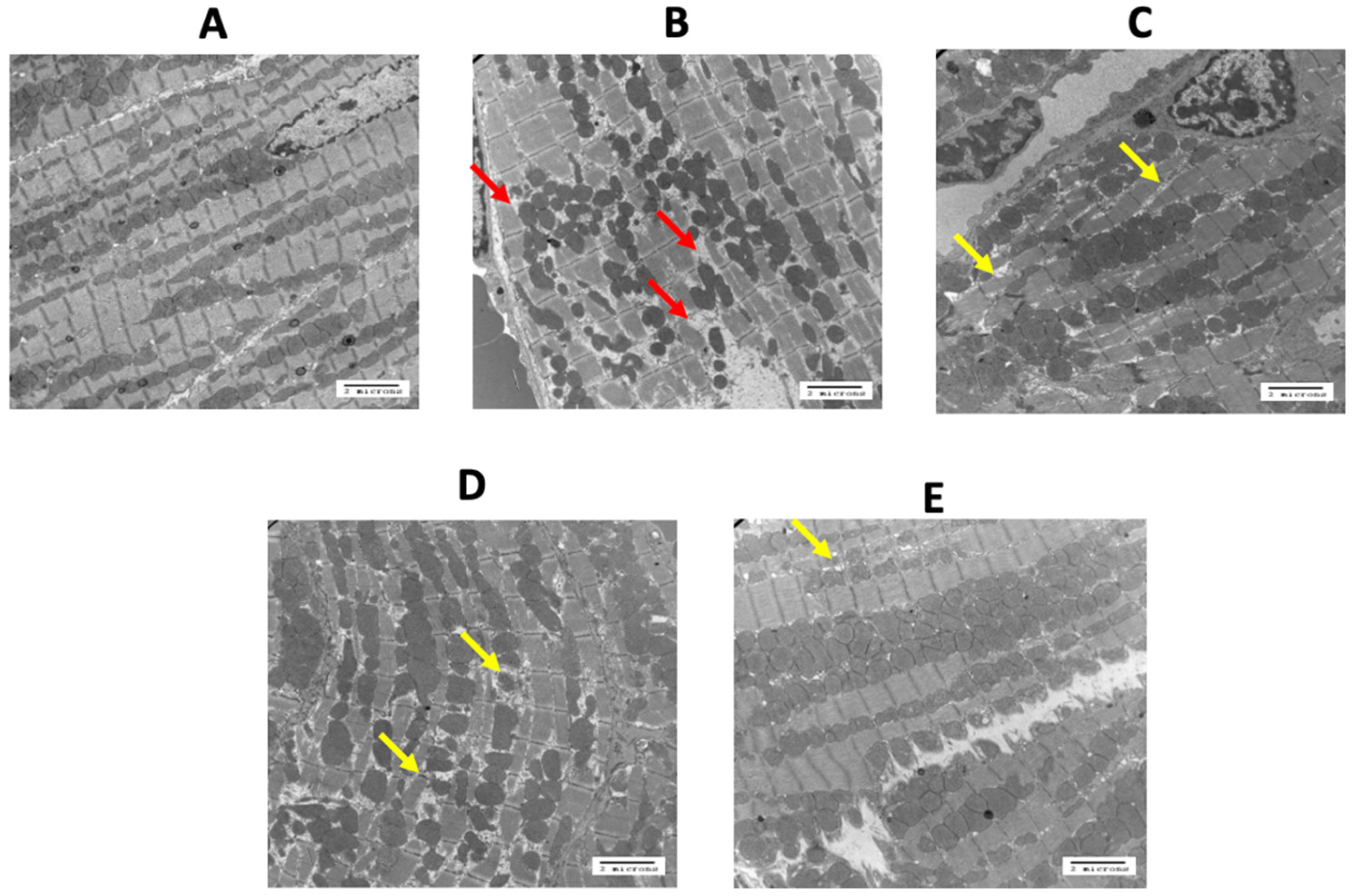 Curroncol 29 00241 g004