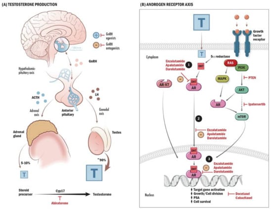 Current Oncology, Free Full-Text