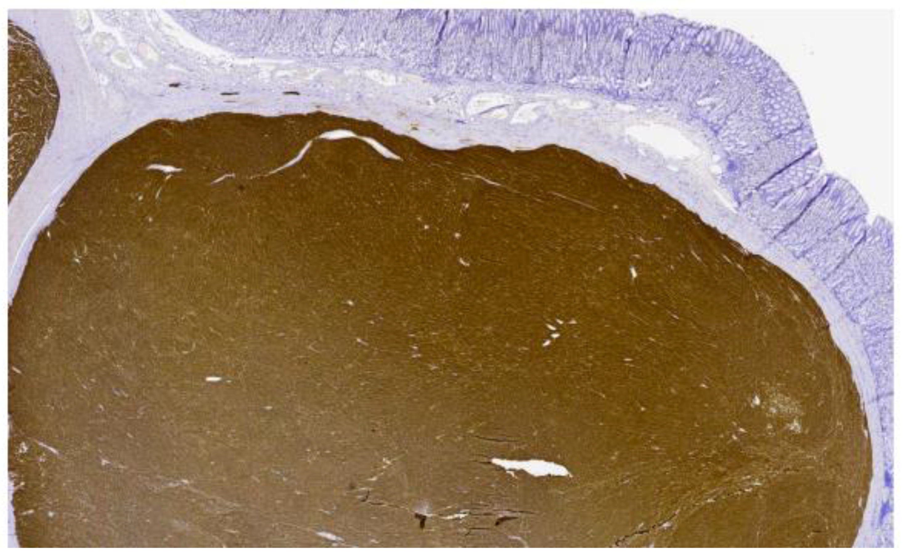 Curroncol 29 00468 g002