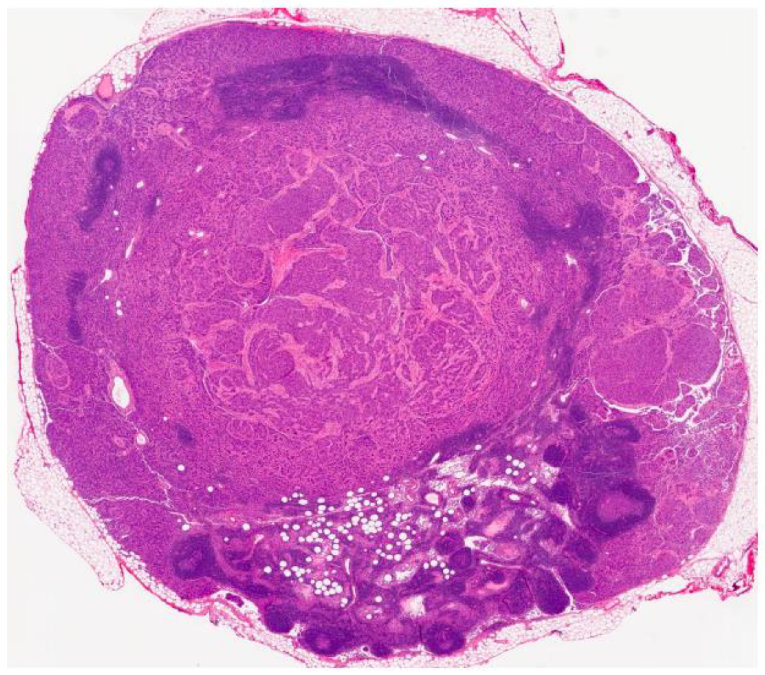 Curroncol 29 00468 g003