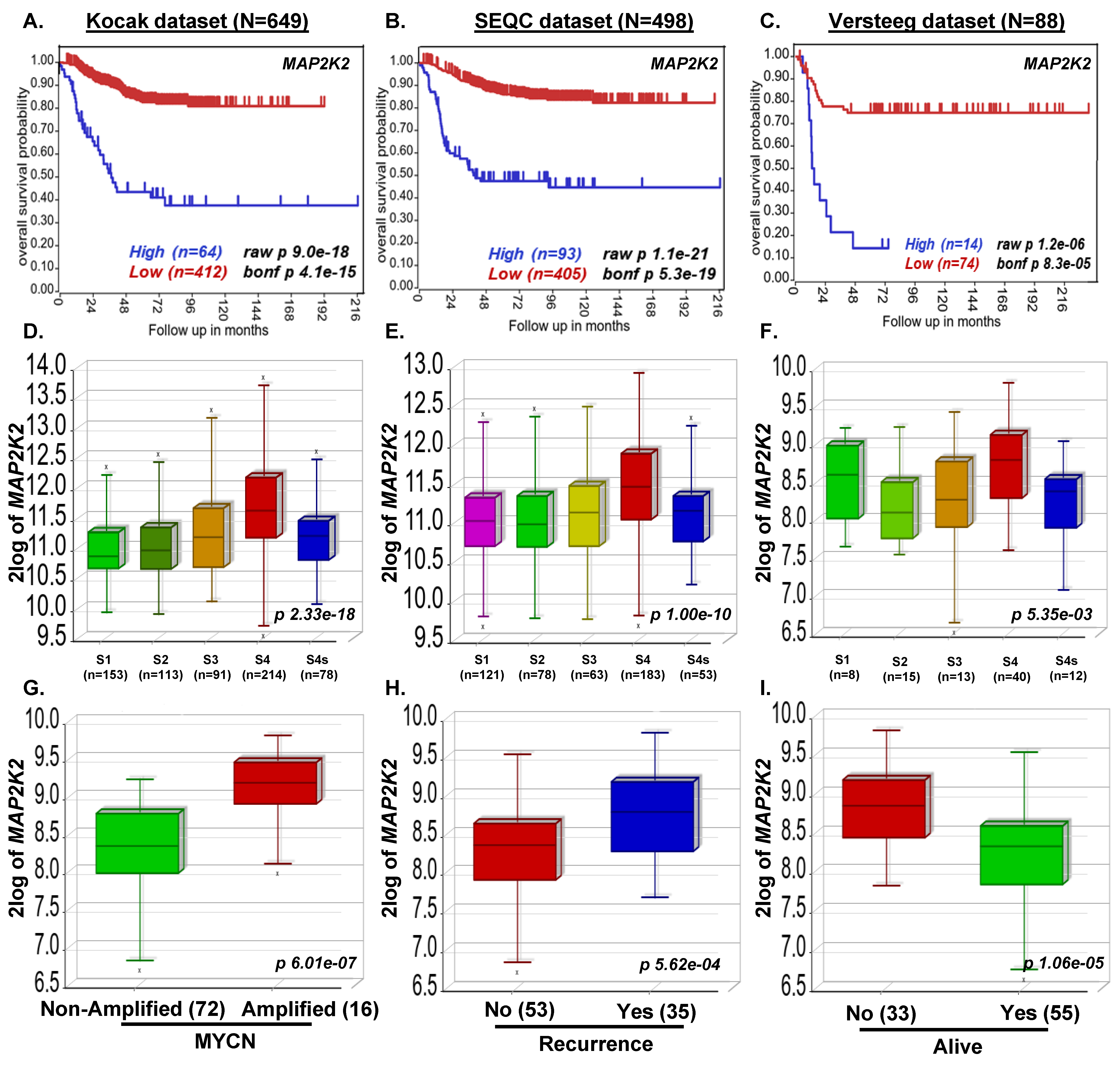 Curroncol 29 00512 g001 Curroncol 29 00512 g001