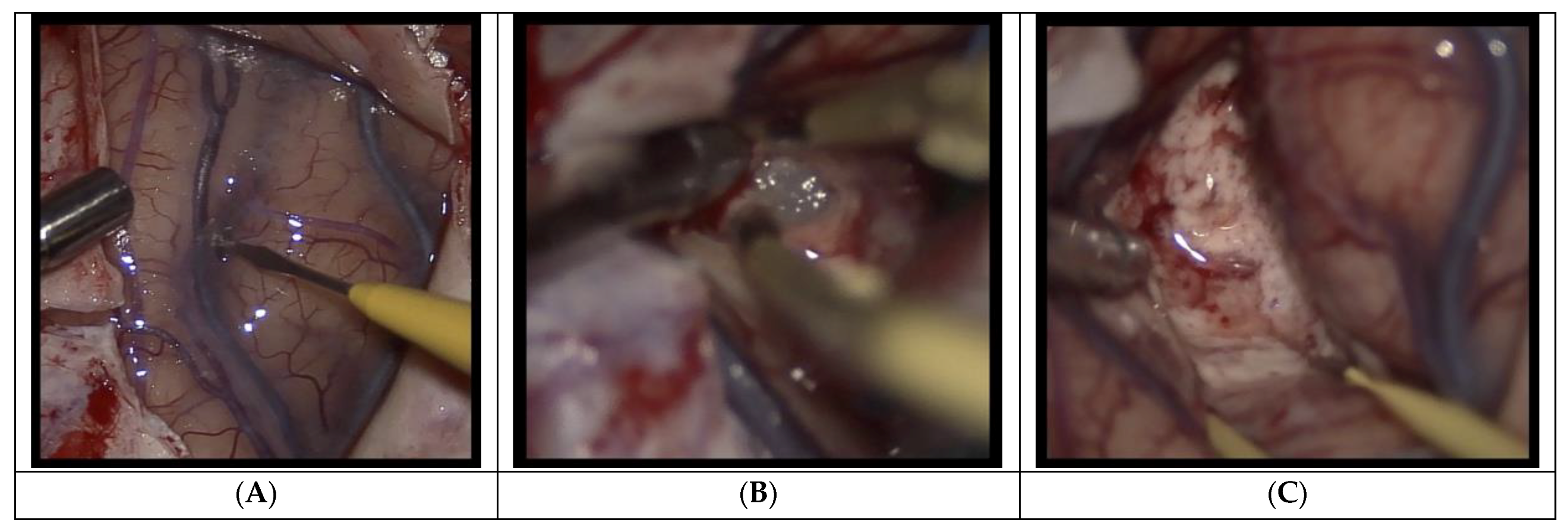 Curroncol 29 00581 g005