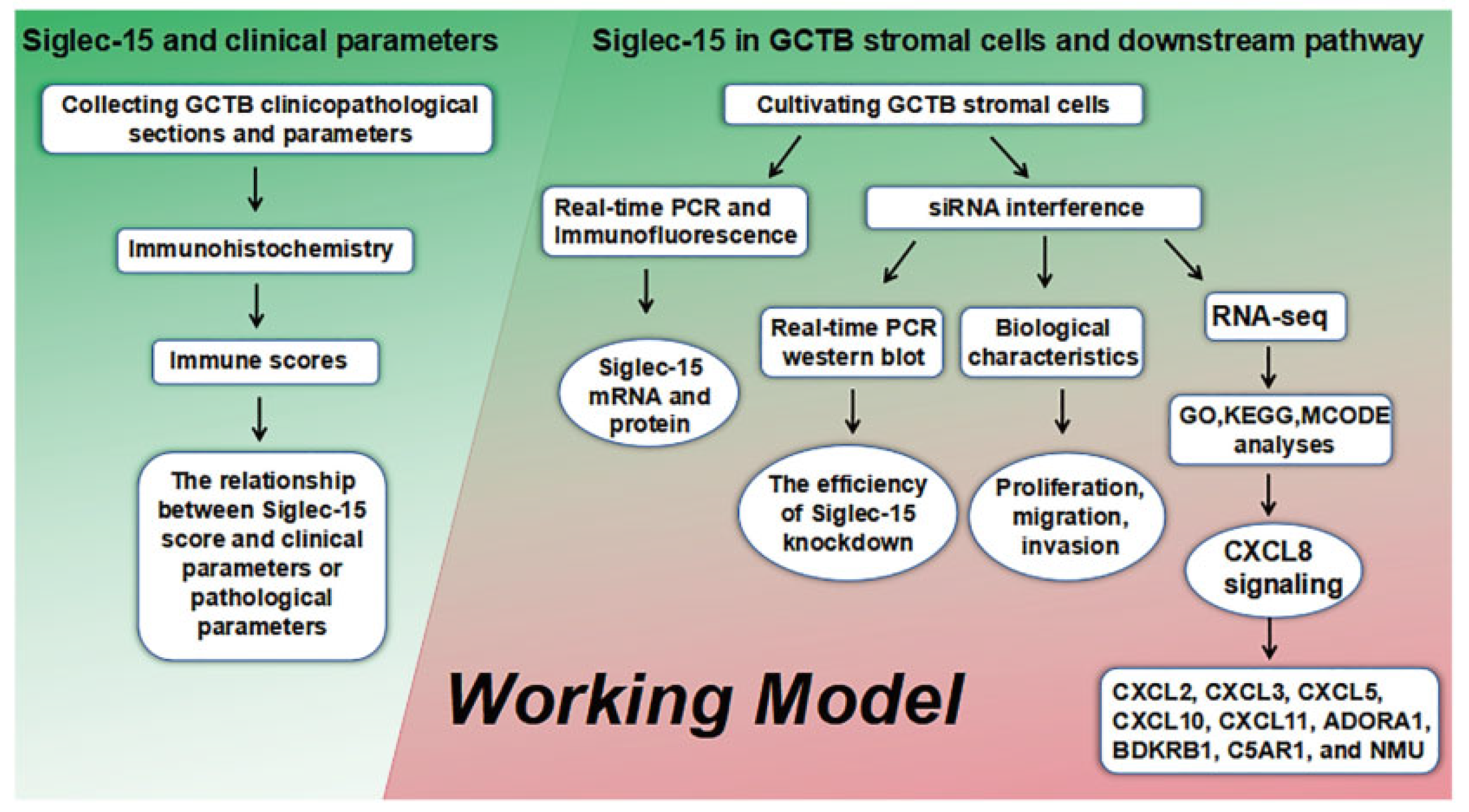 Curroncol 29 00605 g001 Curroncol 29 00605 g001