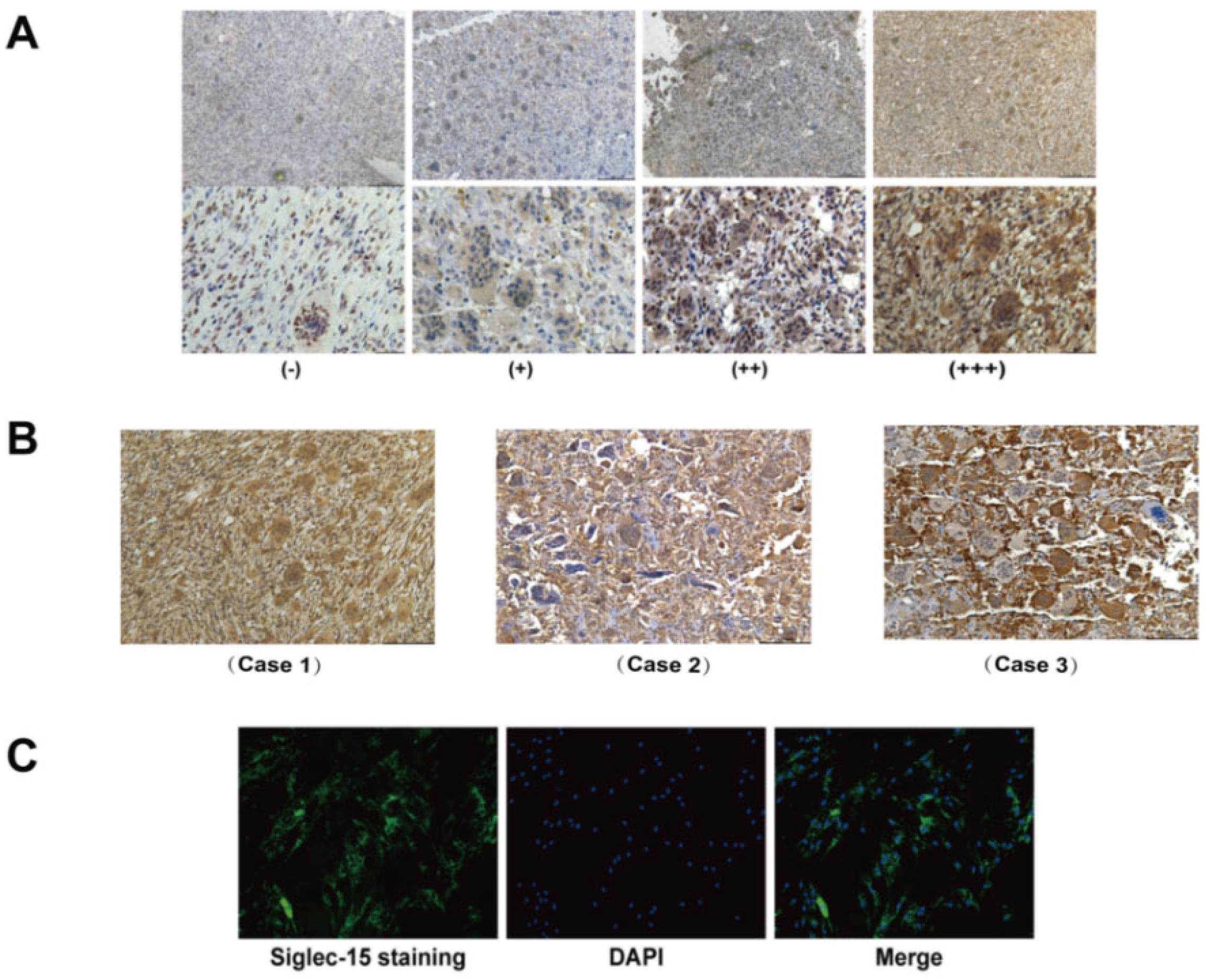 Curroncol 29 00605 g002 Curroncol 29 00605 g002
