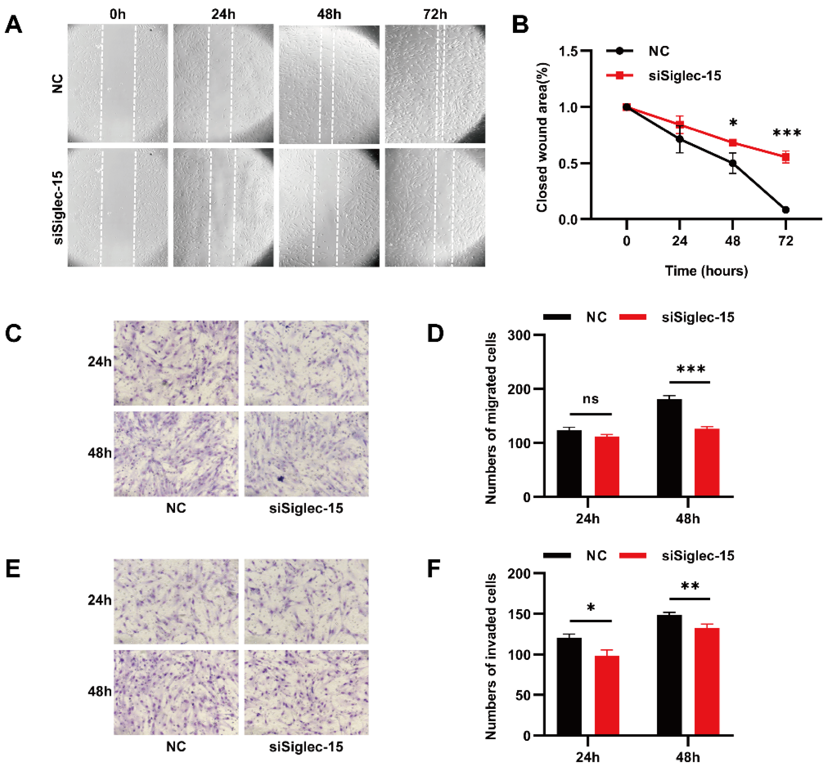 Curroncol 29 00605 g005 Curroncol 29 00605 g005