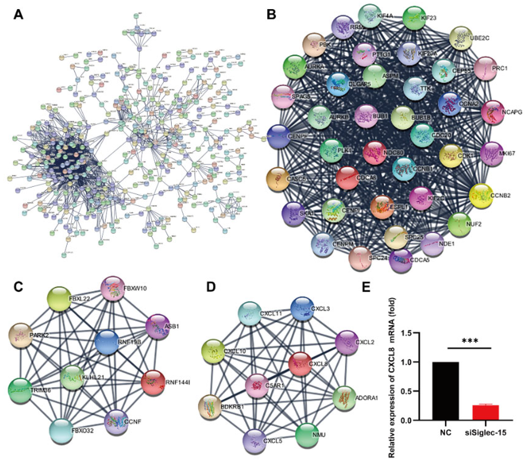 Curroncol 29 00605 g008 Curroncol 29 00605 g008