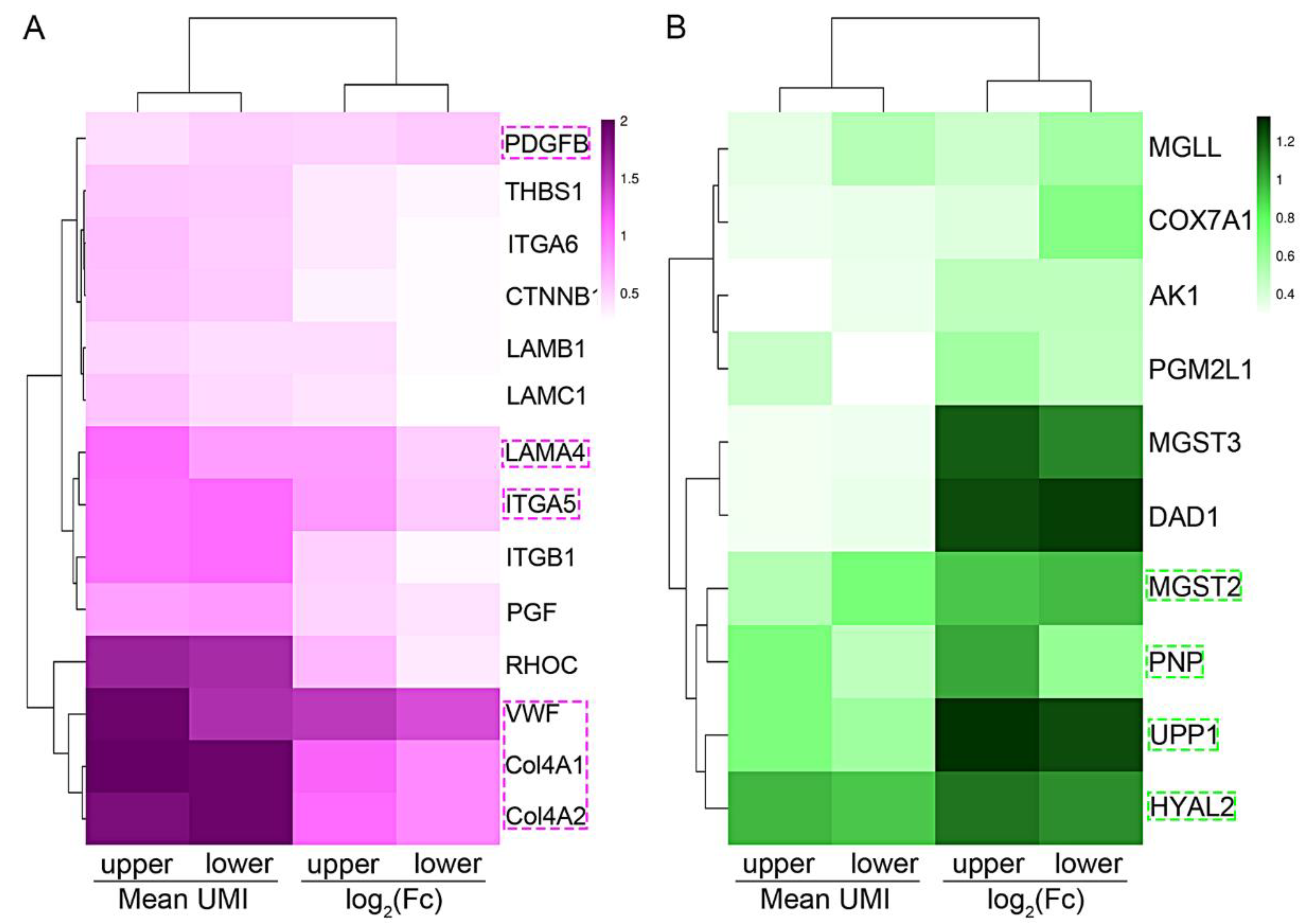 Curroncol 29 00607 g004