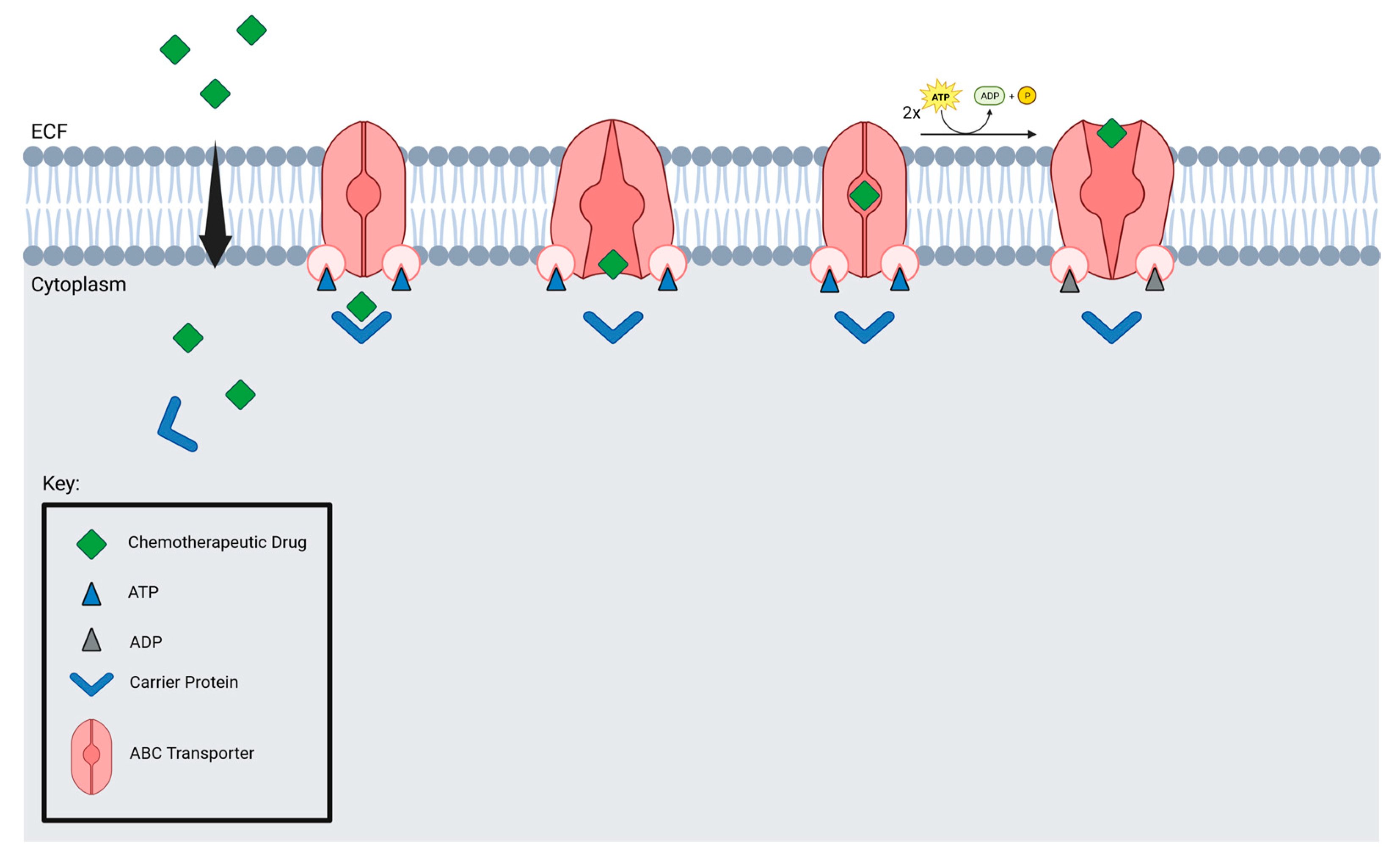 Curroncol 29 00696 g005 Curroncol 29 00696 g005