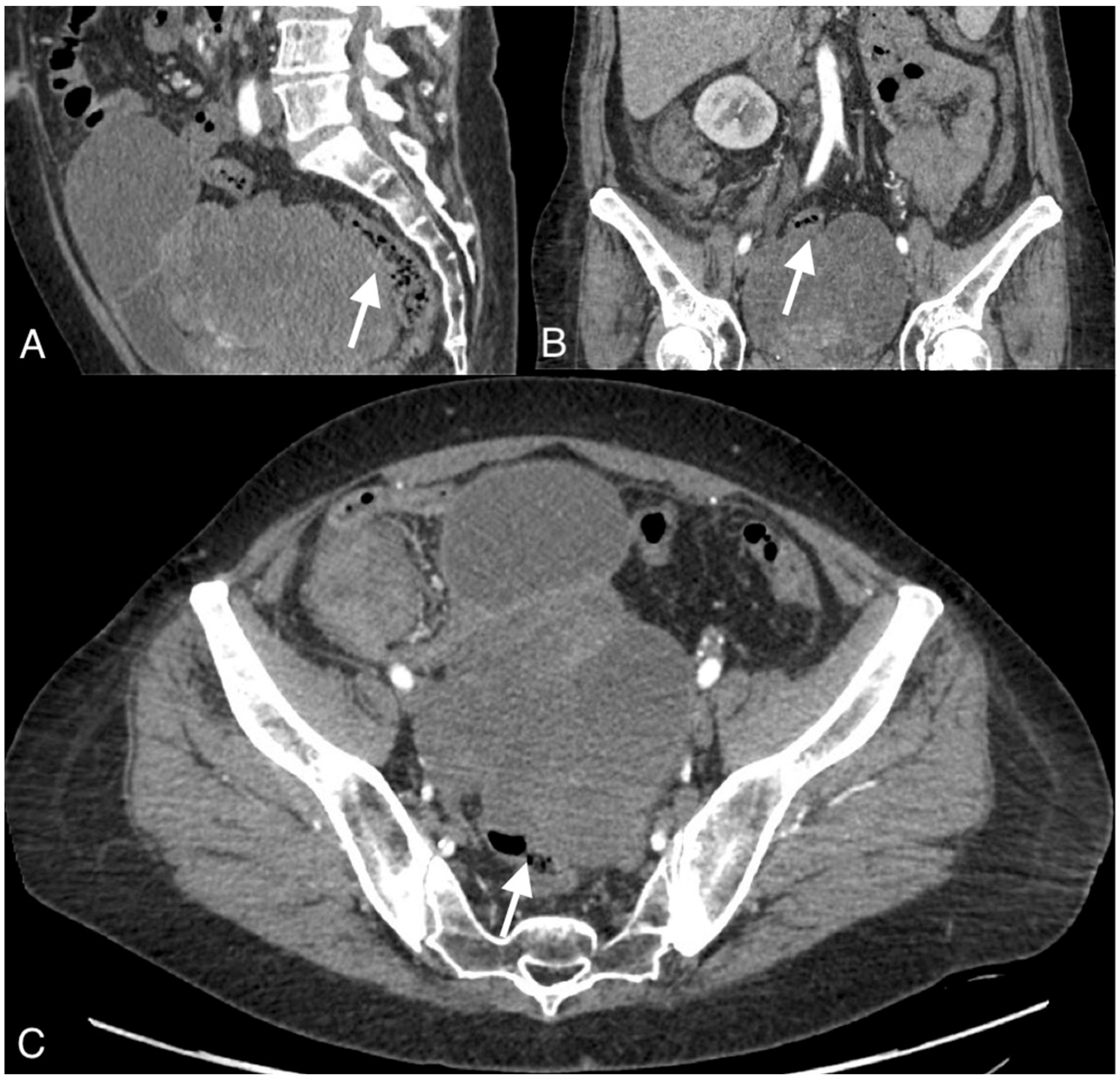 Curroncol 30 00040 g002 Curroncol 30 00040 g002