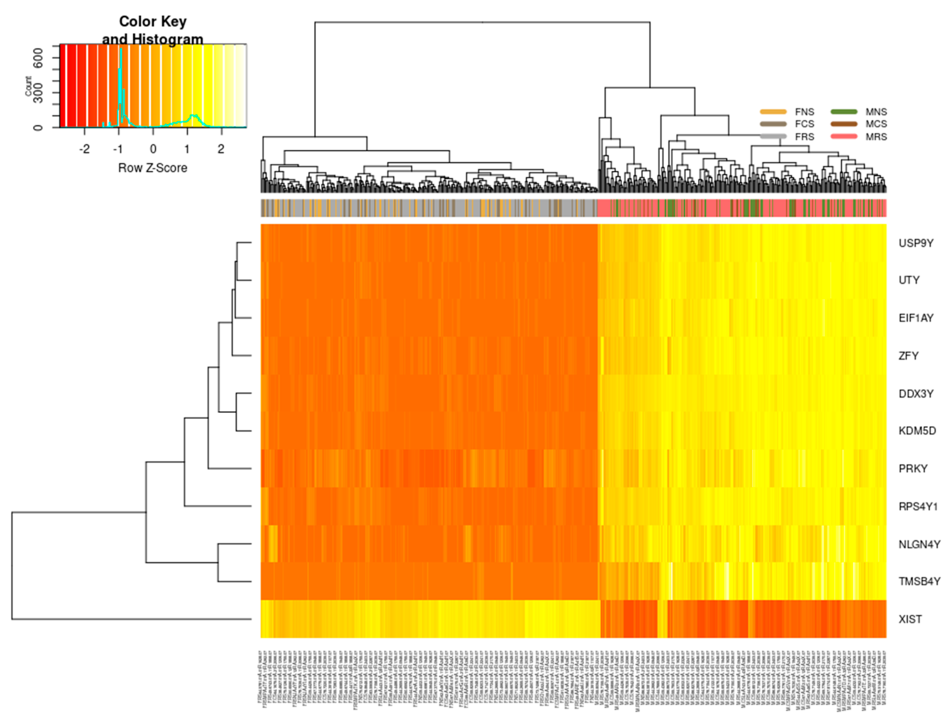 Current Oncology Free Full Text X Or Y Cancer An Extensive Analysis Of Sex Differences In