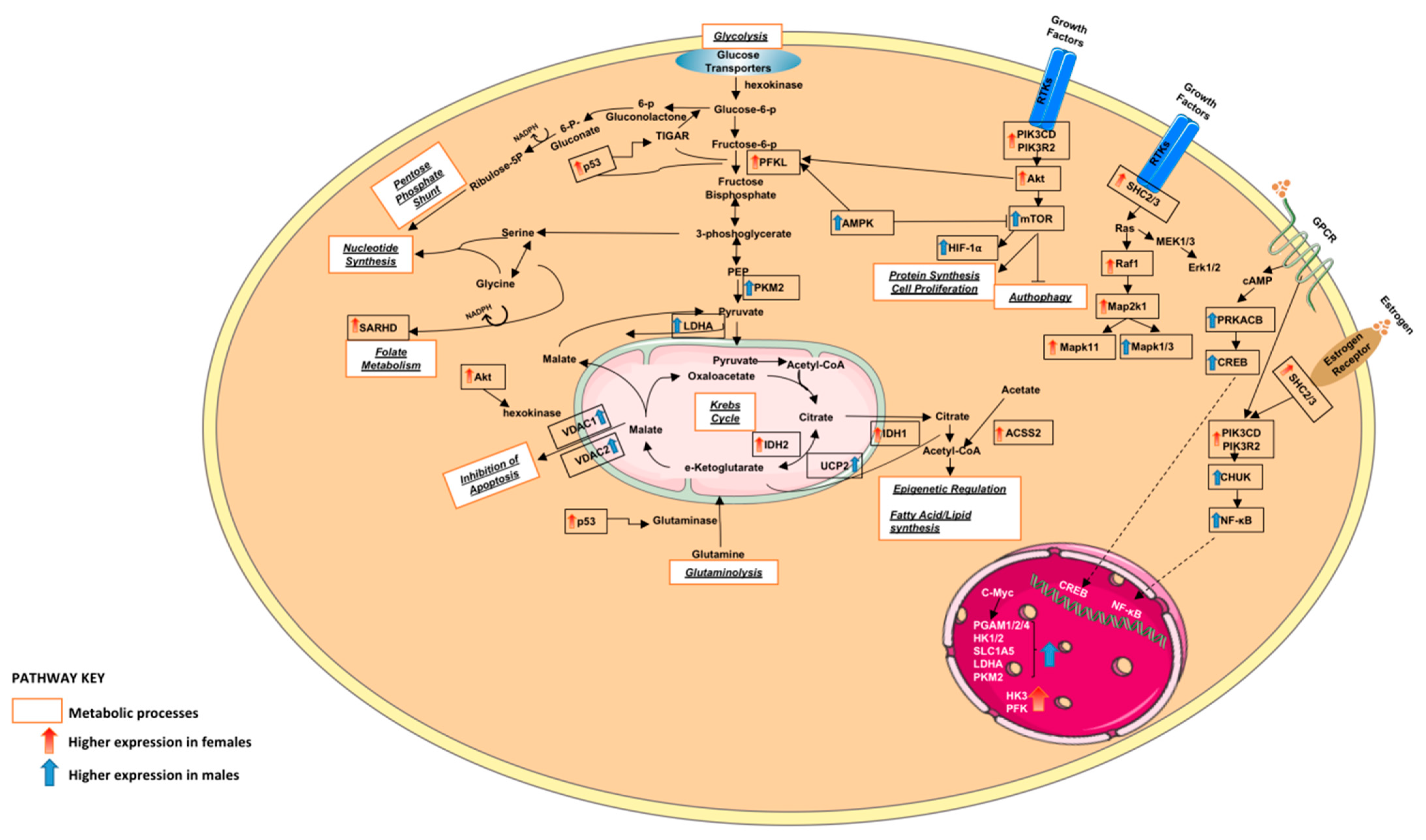 Curroncol 30 00107 g008