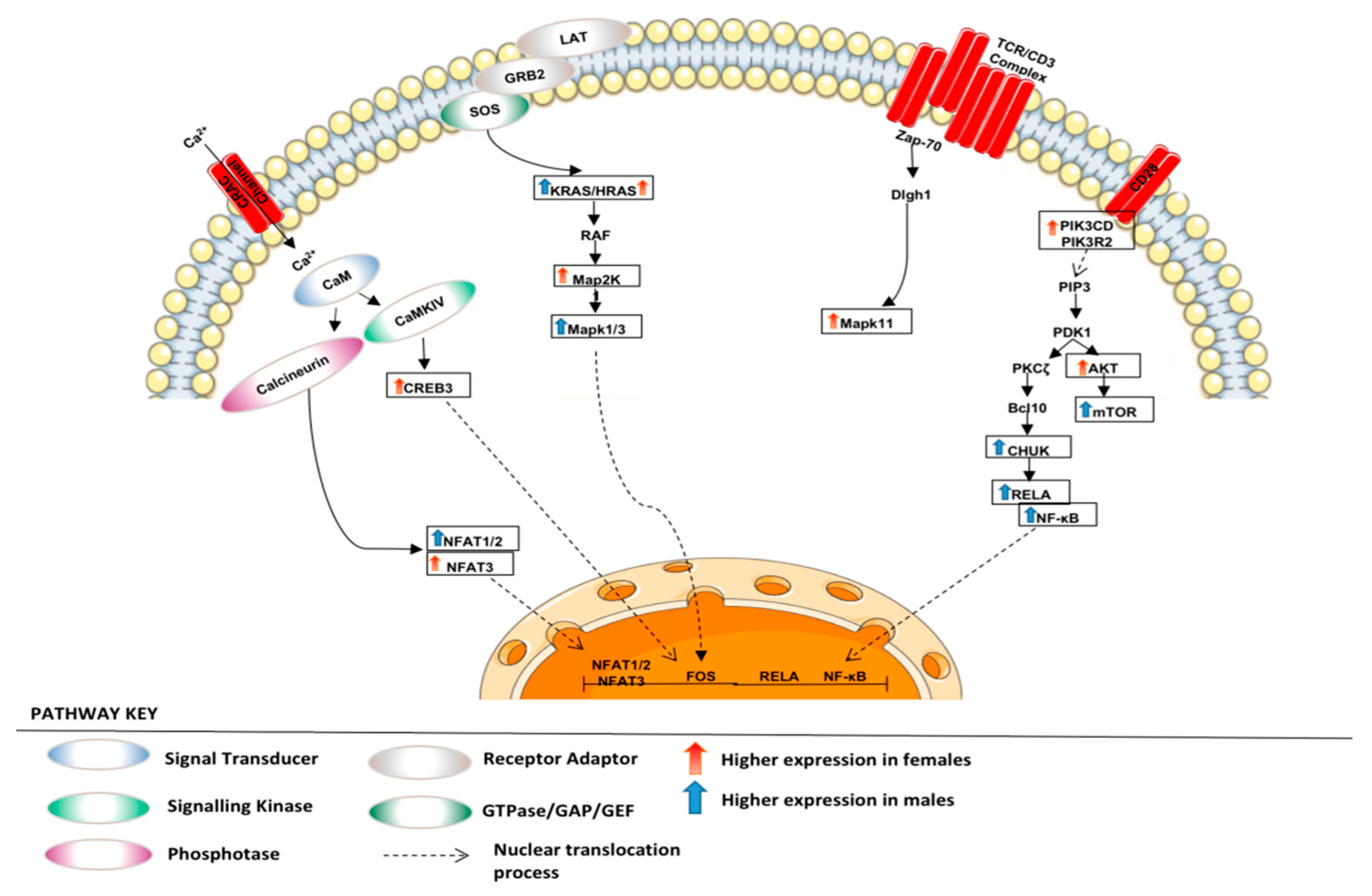 Curroncol 30 00107 g009