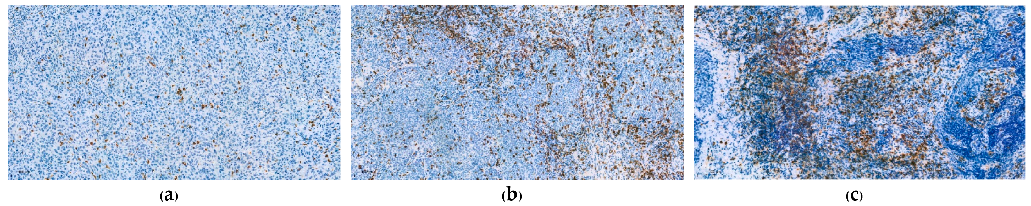 Curroncol 30 00111 g002 Curroncol 30 00111 g002