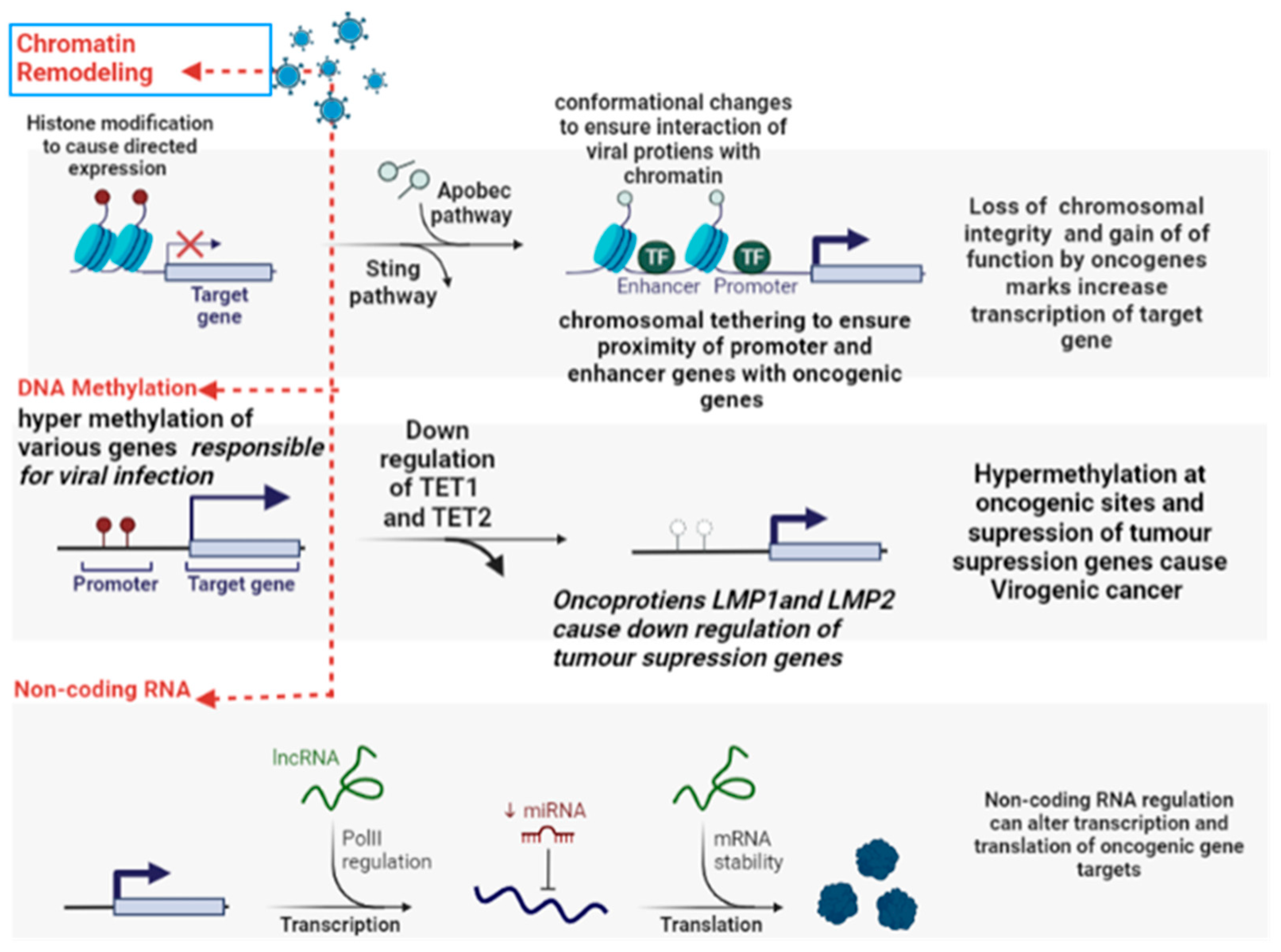Curroncol 30 00150 g006