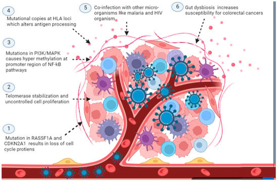 Current Oncology Free Full Text Insight Into Oncogenic Viral