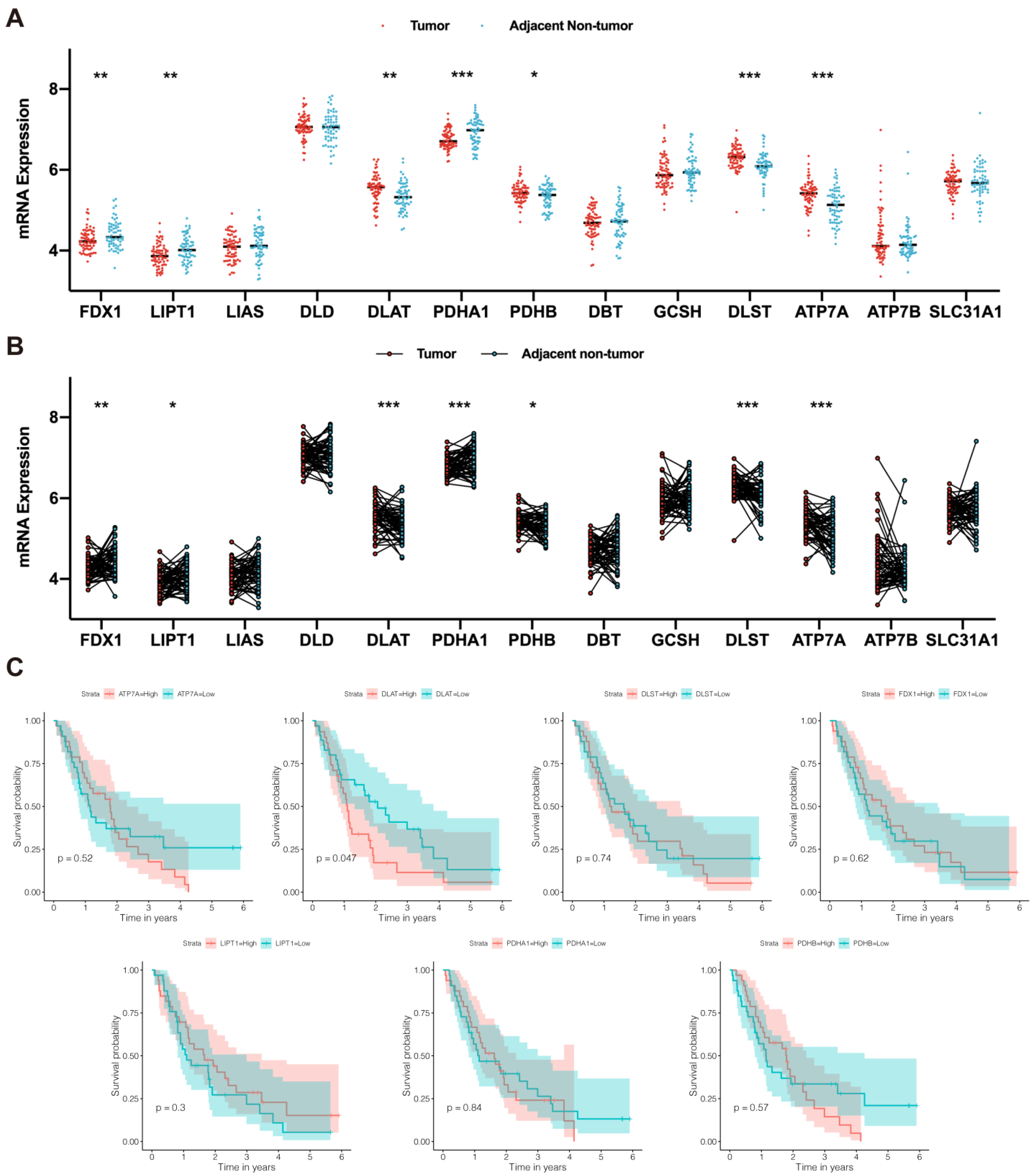 Curroncol 30 00228 g002