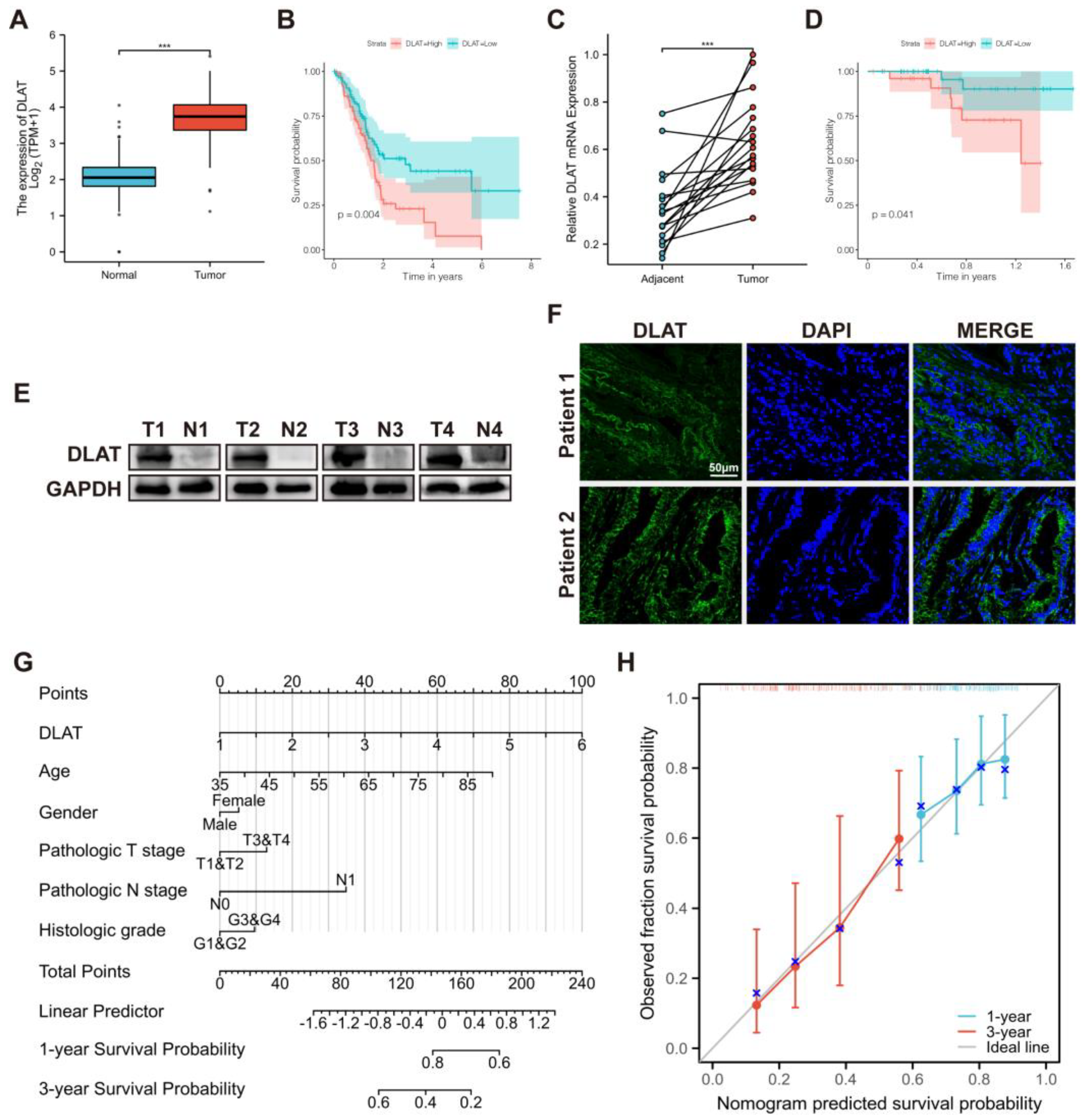 Curroncol 30 00228 g003