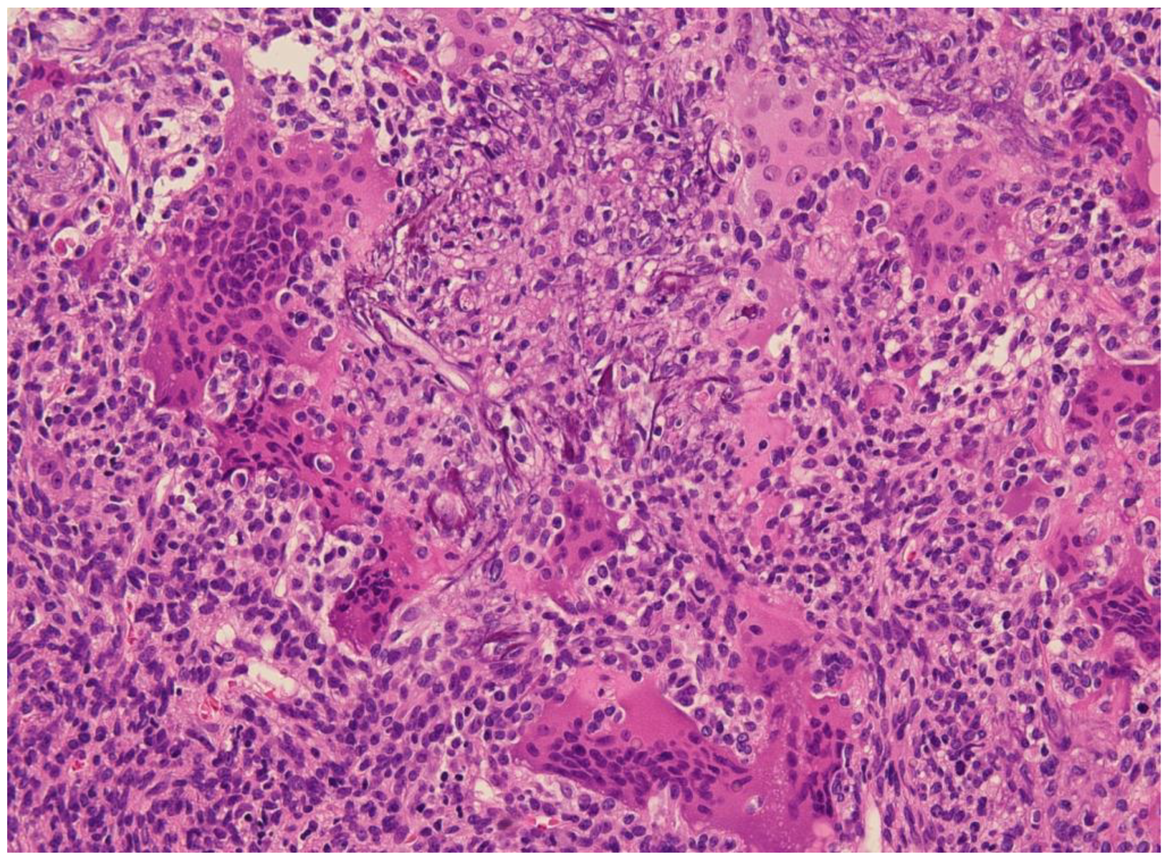 Curroncol 30 00541 g002 Curroncol 30 00541 g002