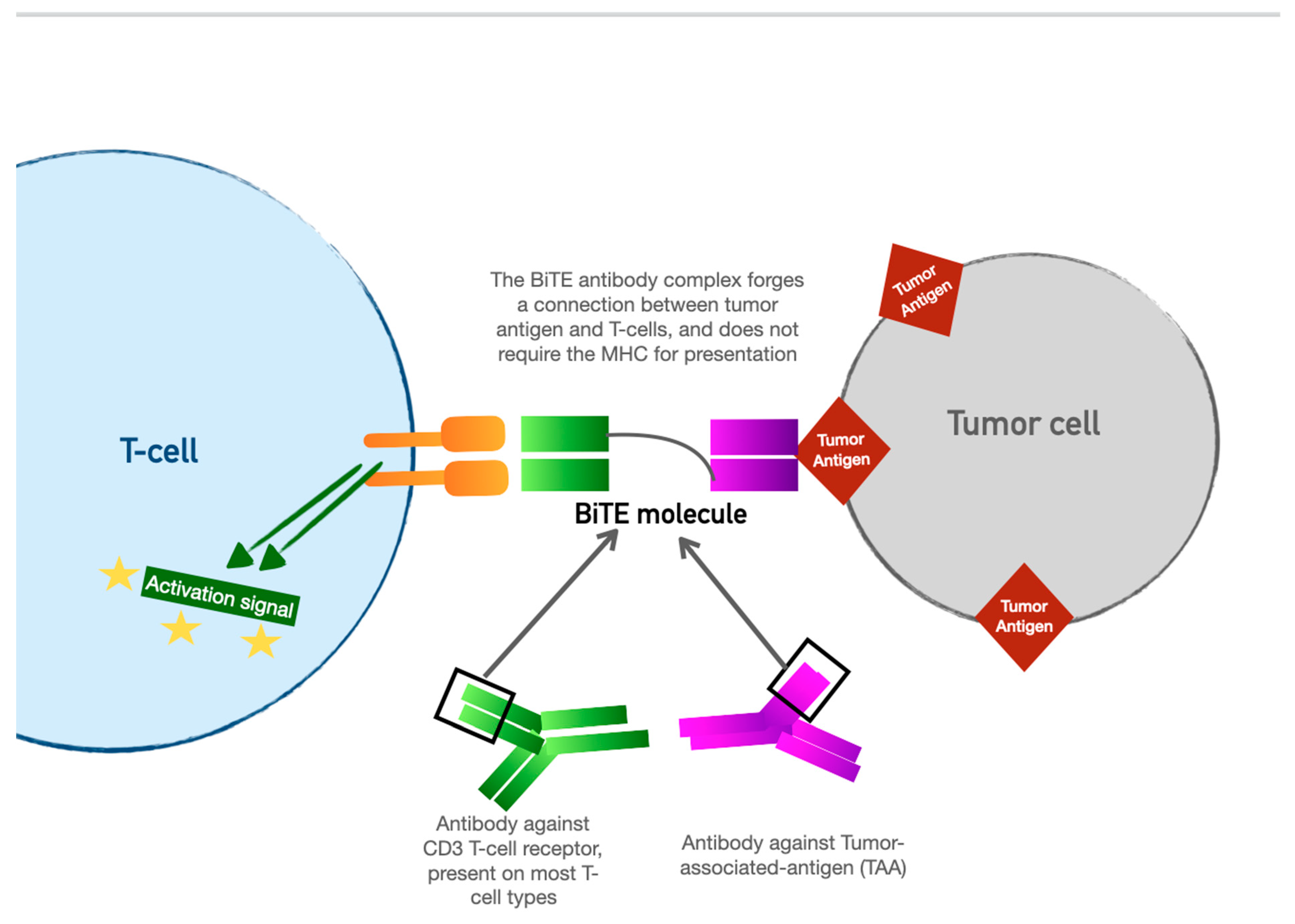 Curroncol 30 00554 g003